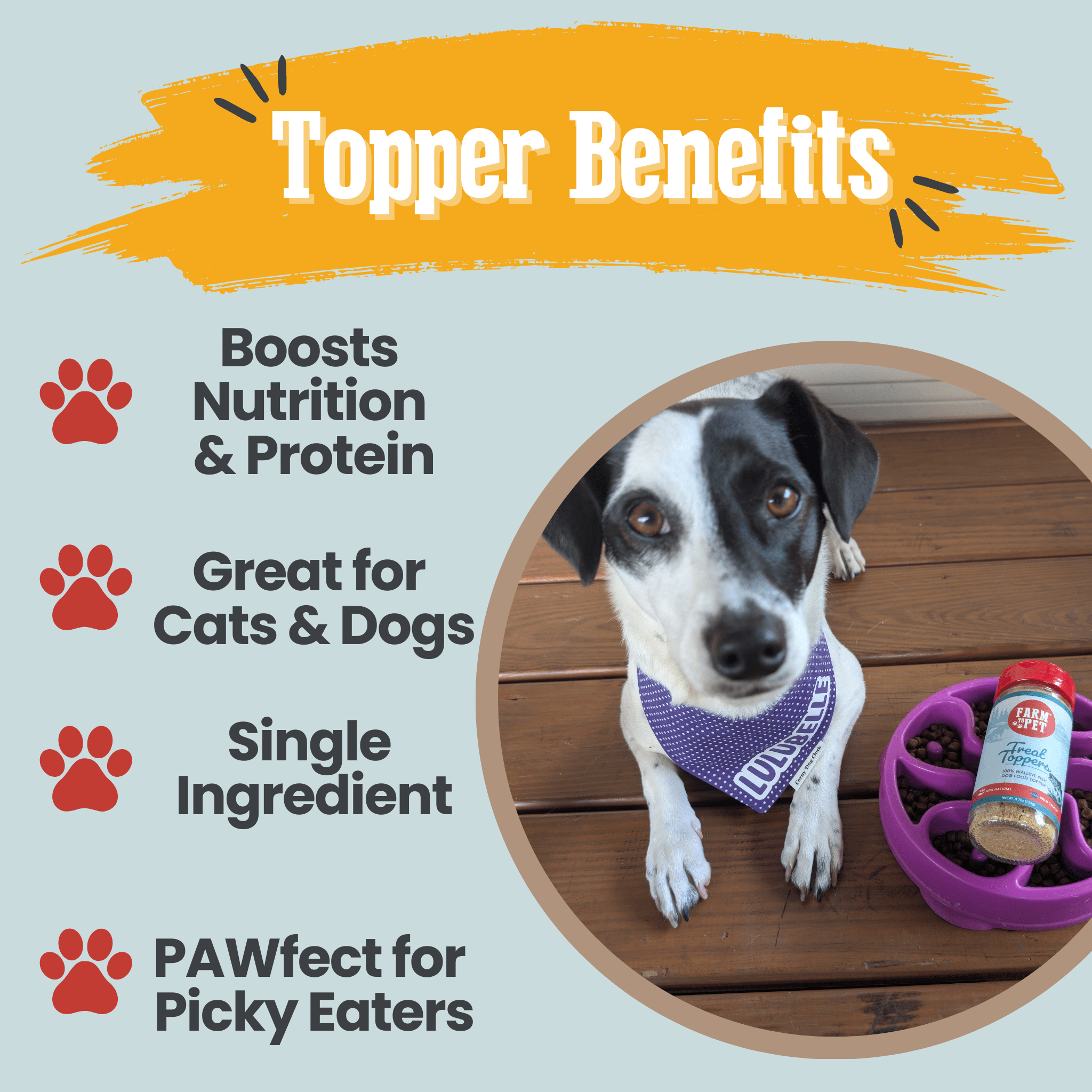 A dog wearing a bandana with a purple bowl and a jar of Farm to Pet Fish Toppers on a wooden floor, featuring text about topper benefits.