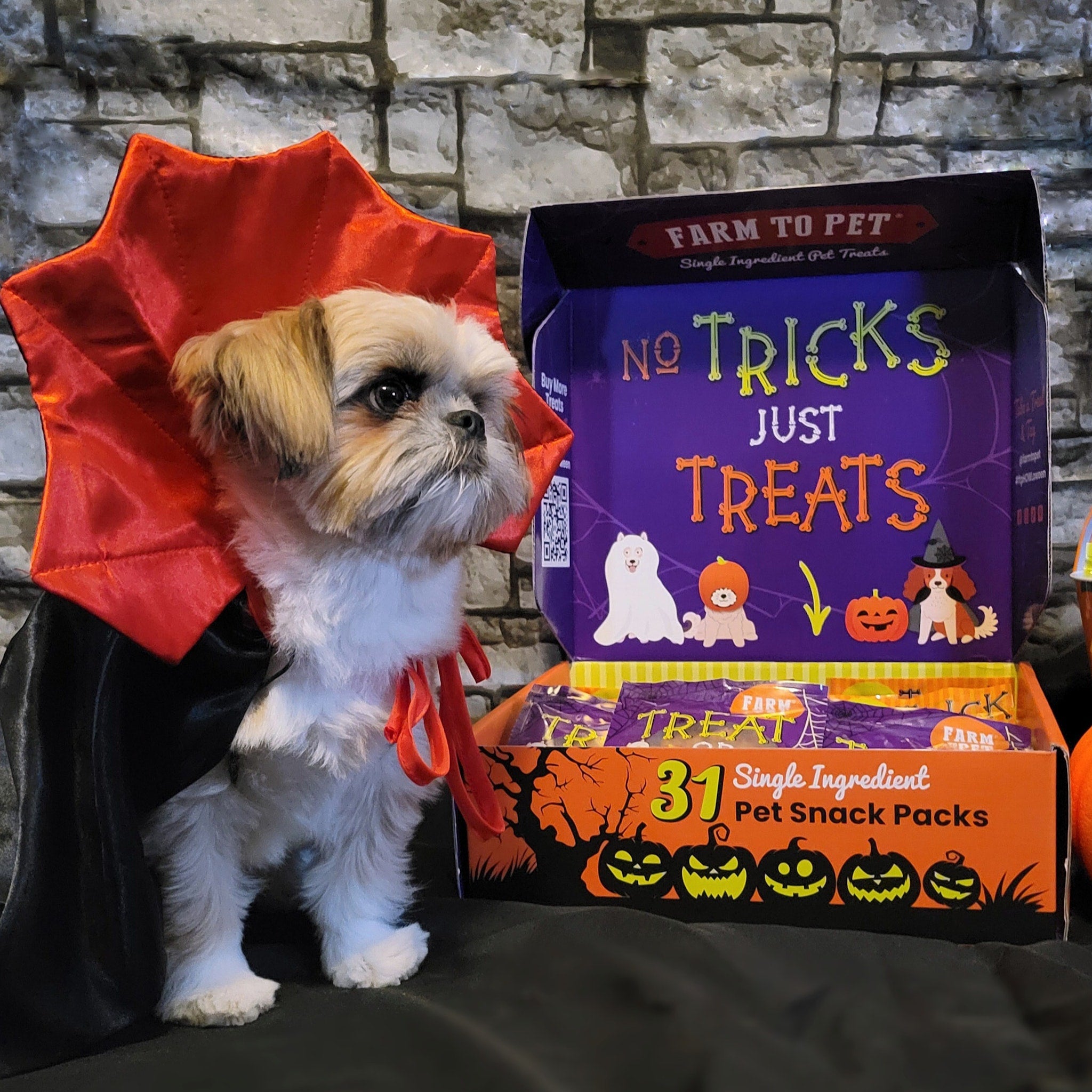 Dog in Halloween costume with a box of 'No Tricks Just Treats' Farm to Pet snack packs against a stone wall background.