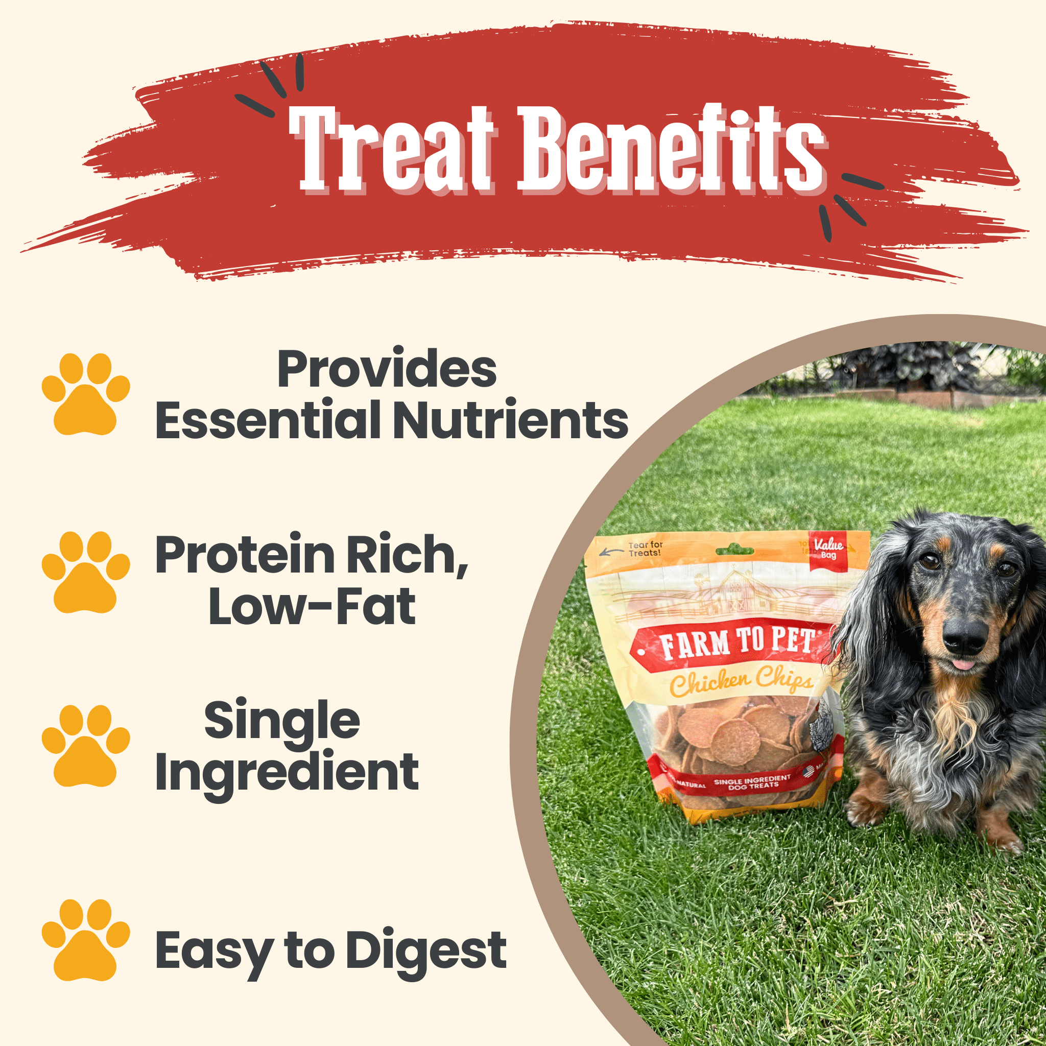 A dog sitting next to a Farm to Pet Value Bag and text about treat benefits.