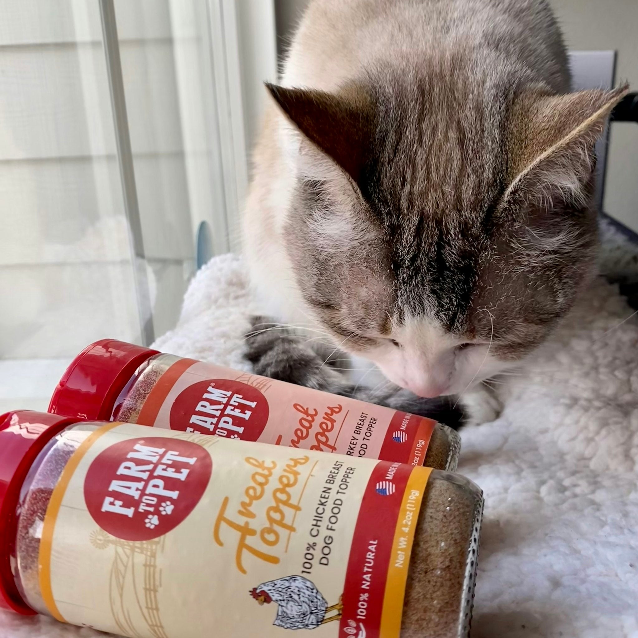 A cat sitting next to a window with two jars of Farm to Pet Treat Toppers by it.