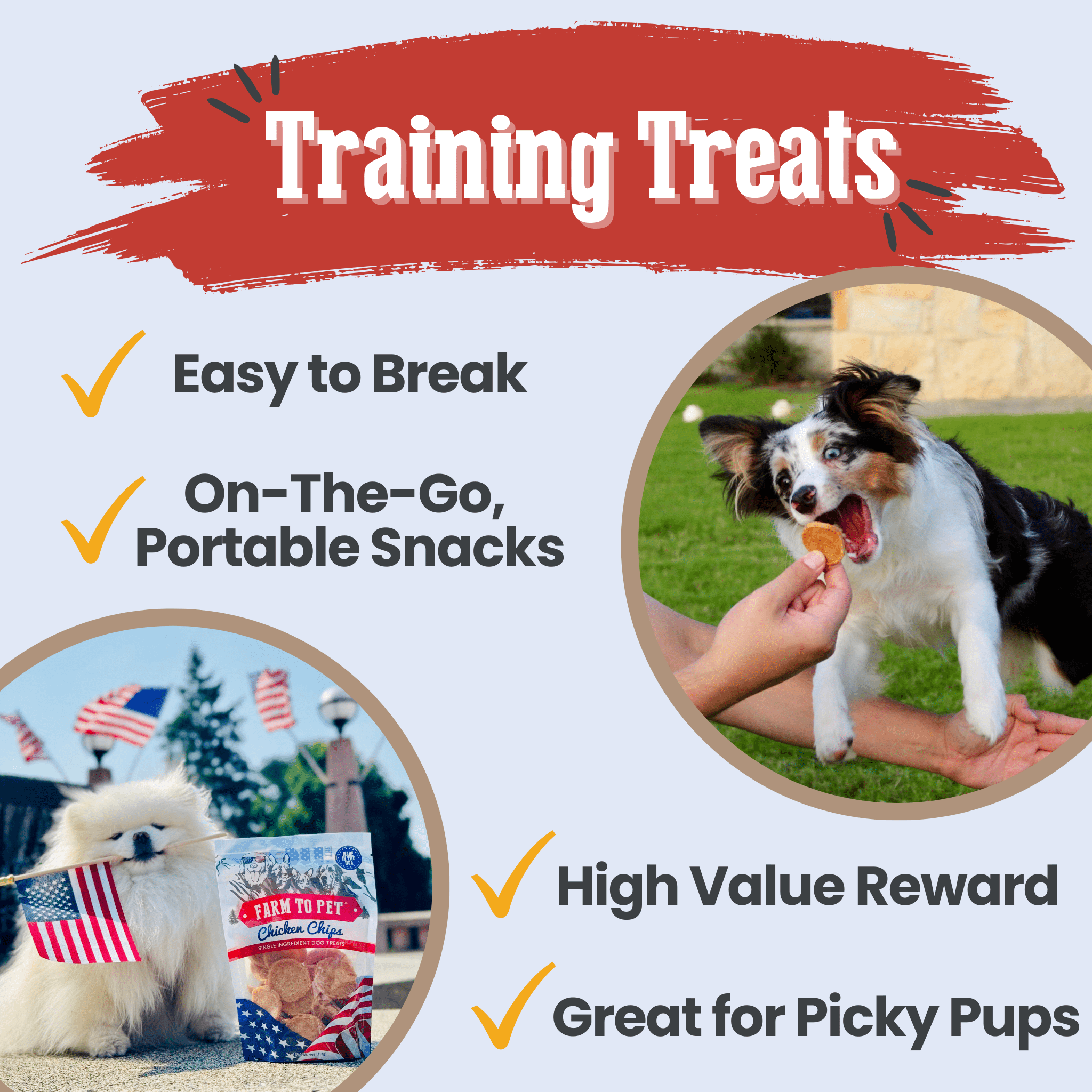 A Dog training with Farm to Pet treats, and another dog holding an American flag.