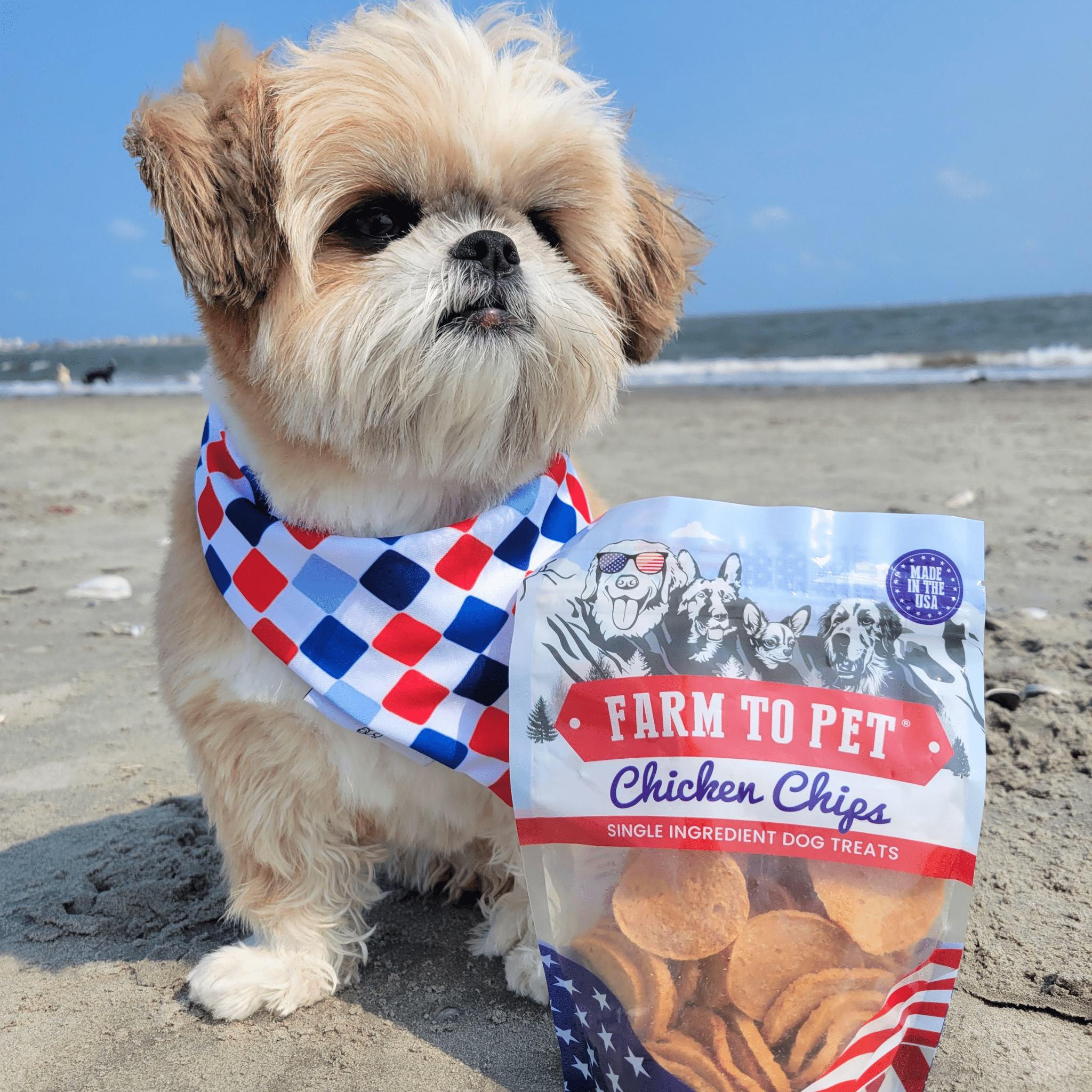 Dog wearing a red white and blue bandana on a beach with a package of Americana Farm to Pet Chicken Chips.