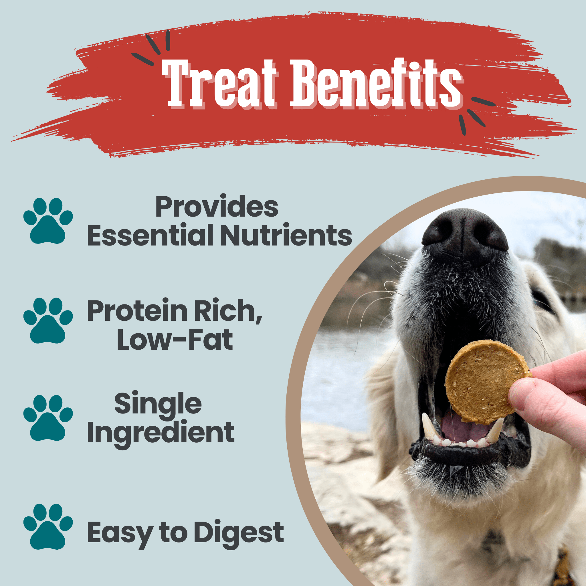 Farm to Pet Dog treats with benefits. A large white dog with mouth open getting ready to bite a fish chip.