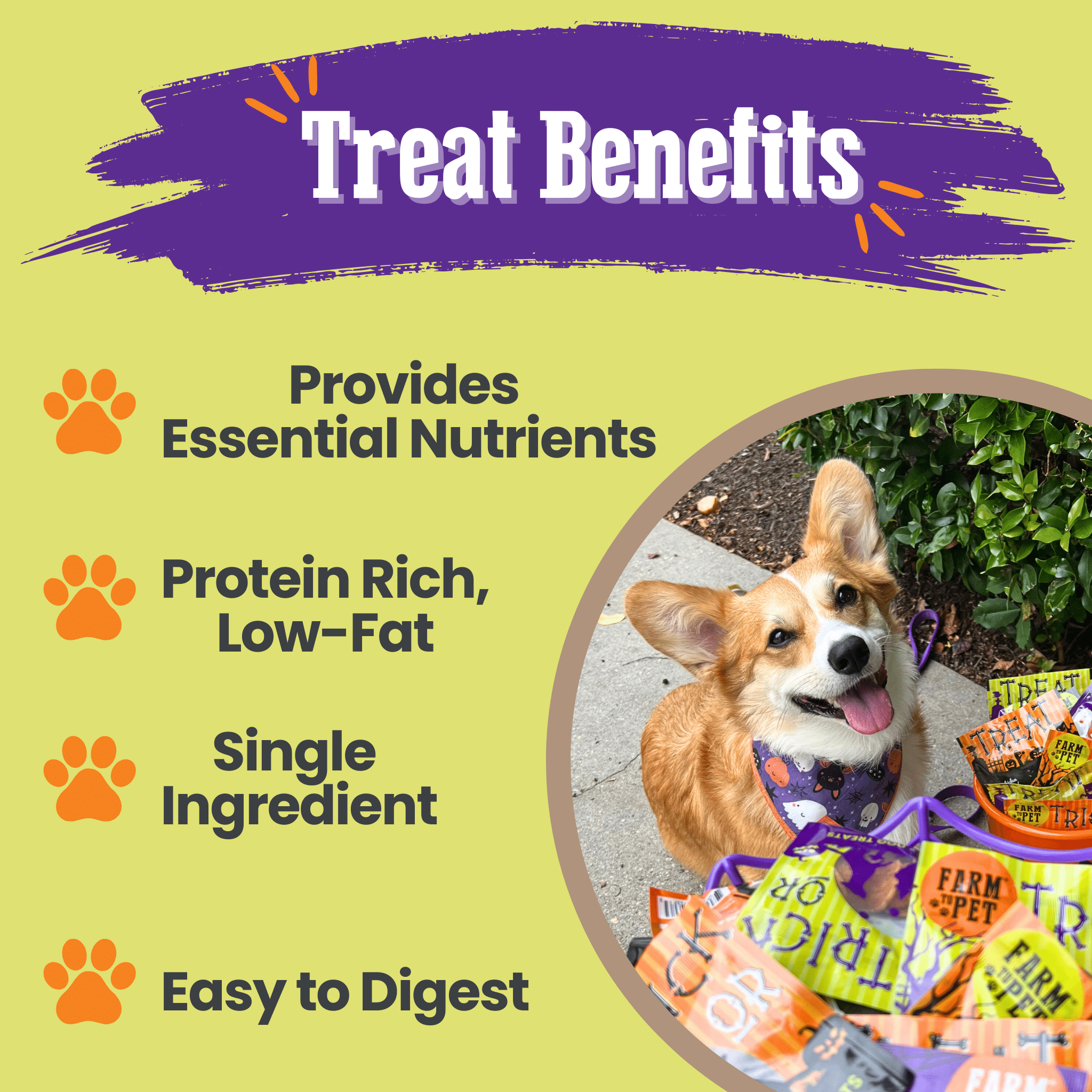 Farm to Pet Dog treat benefits listed with a dog and treats in the background on a yellow background
Treat Benefits