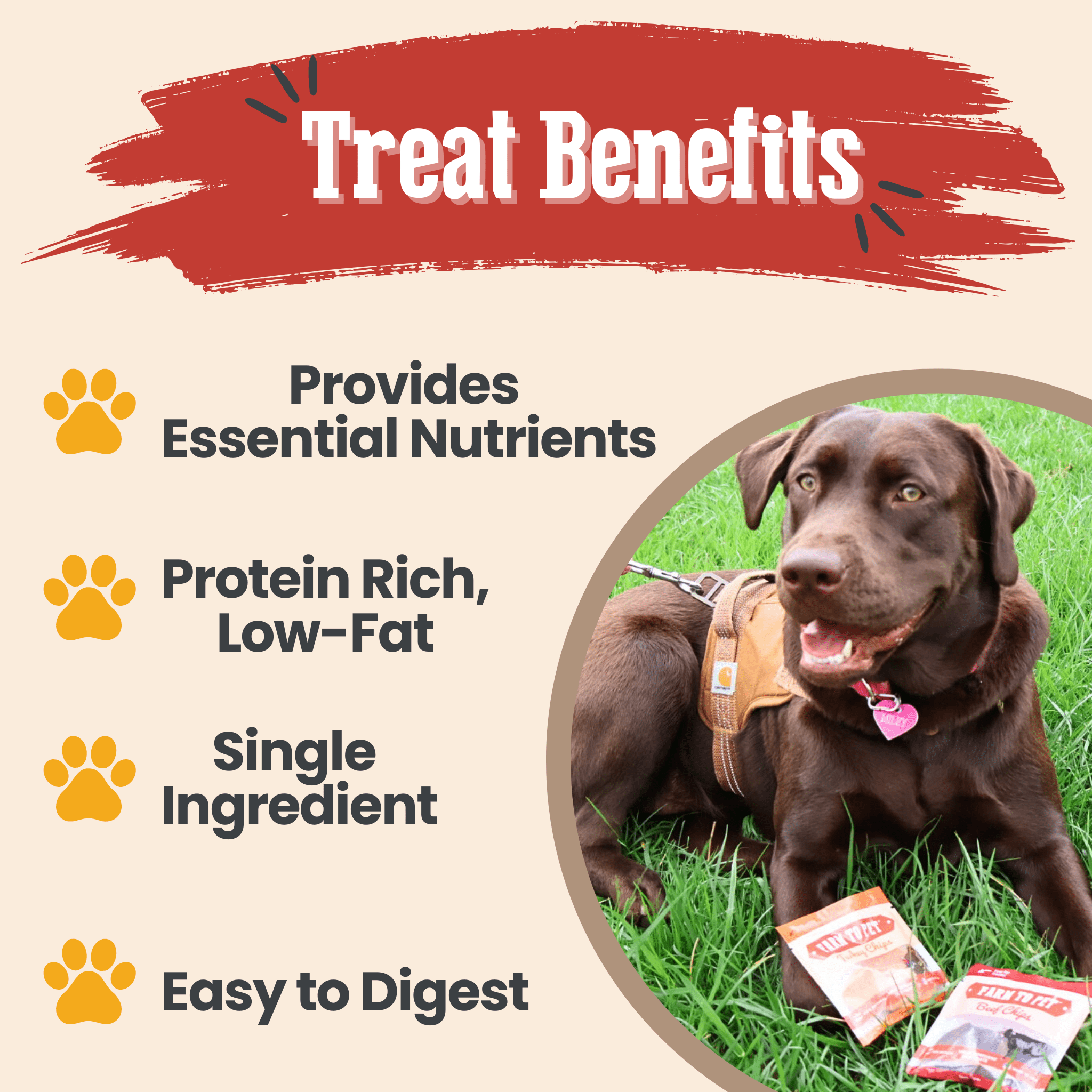 A brown dog sitting on grass with Farm to Pet snack pack treats and text about treat benefits on a beige background.