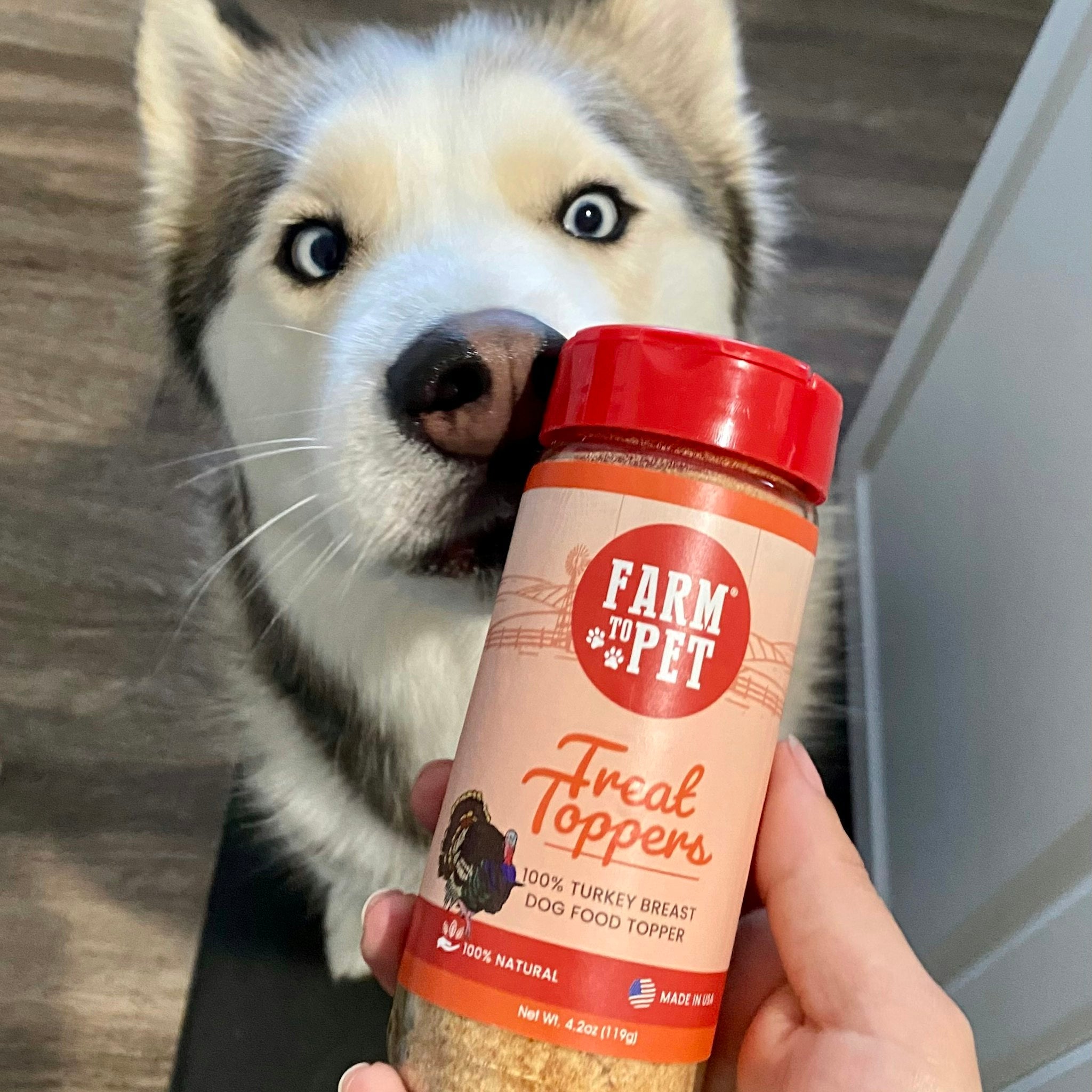 A Husky dog with a jar of Farm to Pet Turkey Treat Dog Food Topper.