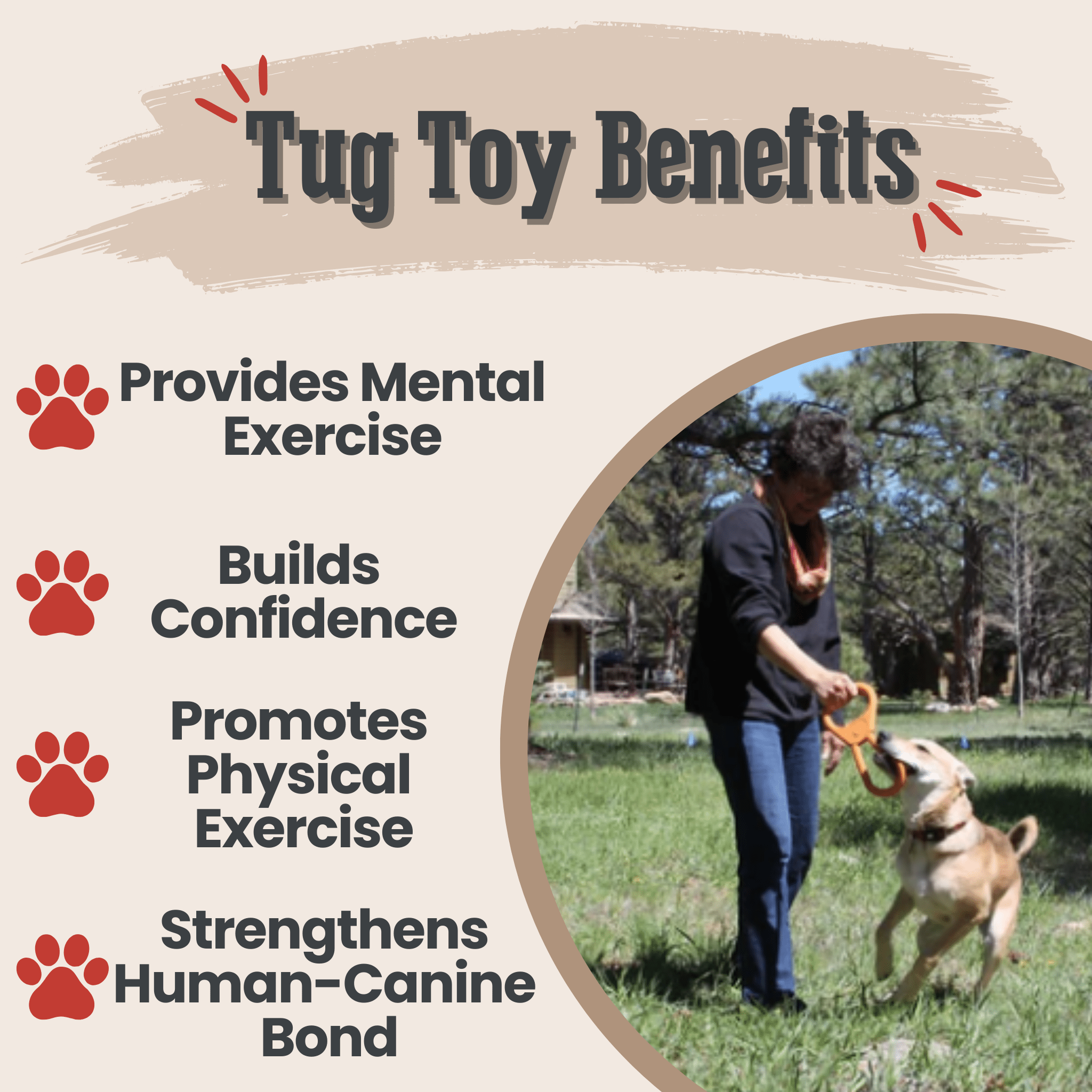 Person playing with a Farm to Pet Tug Toy Orange Pop Top Tug with a dog outdoors, with about tug toy benefits.