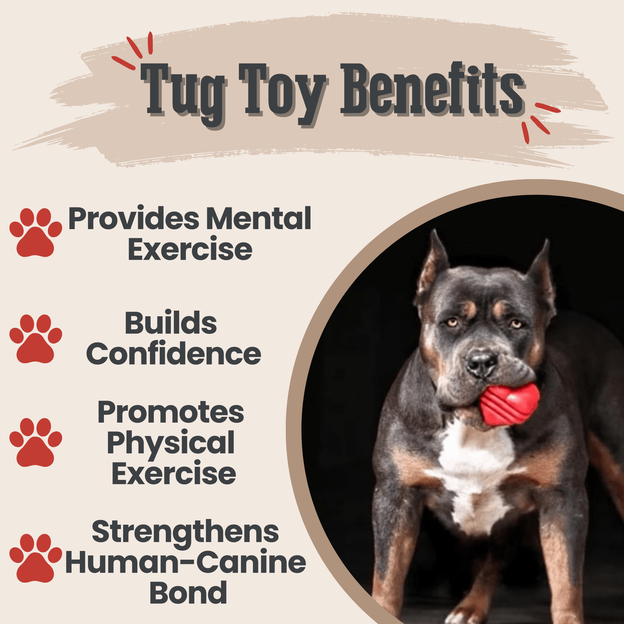 A Dog with a Farm to Pet Tug Toy Heart on a String and text about benefits on a beige background