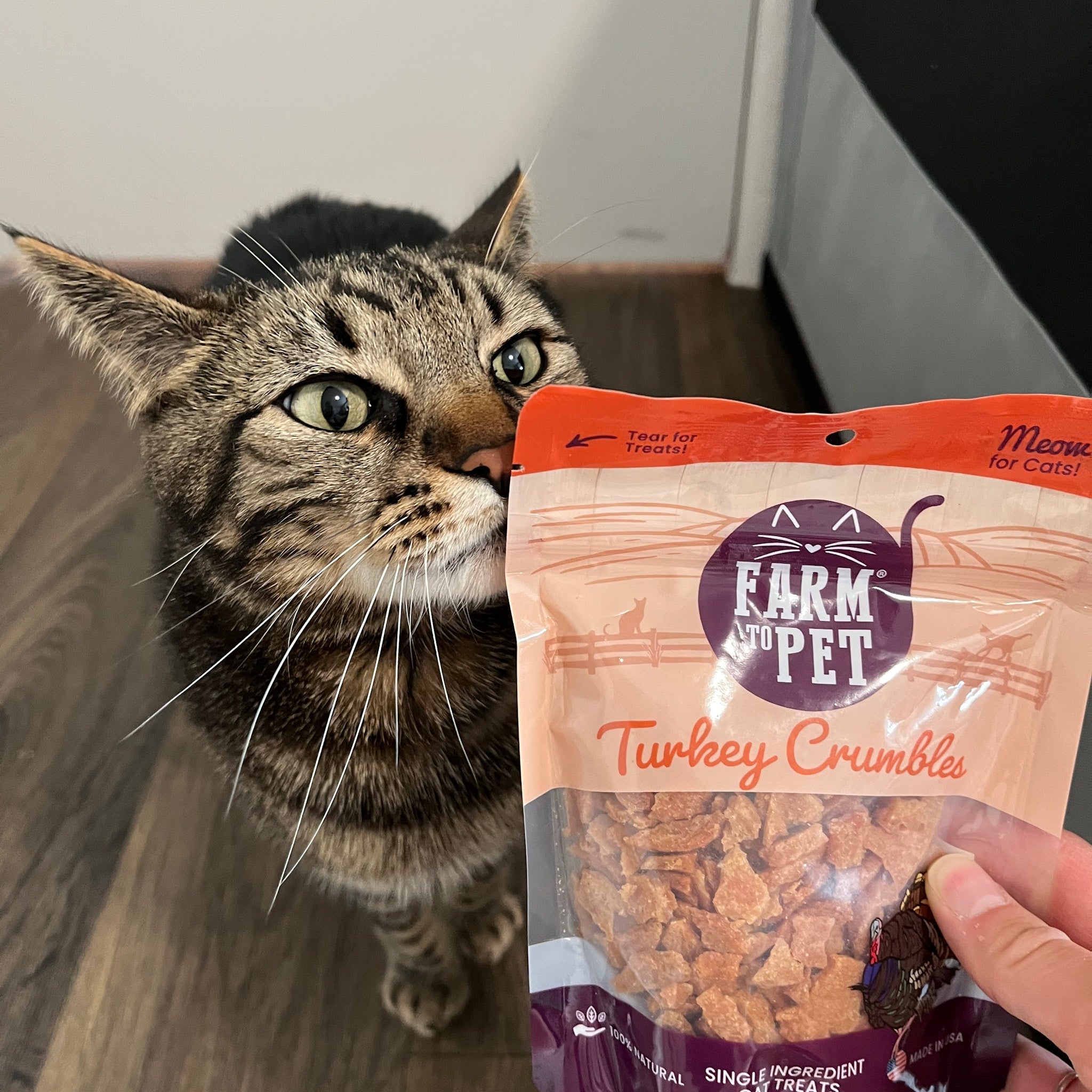 Gary Cat looking at a Farm to Pet turkey cat crumbles package