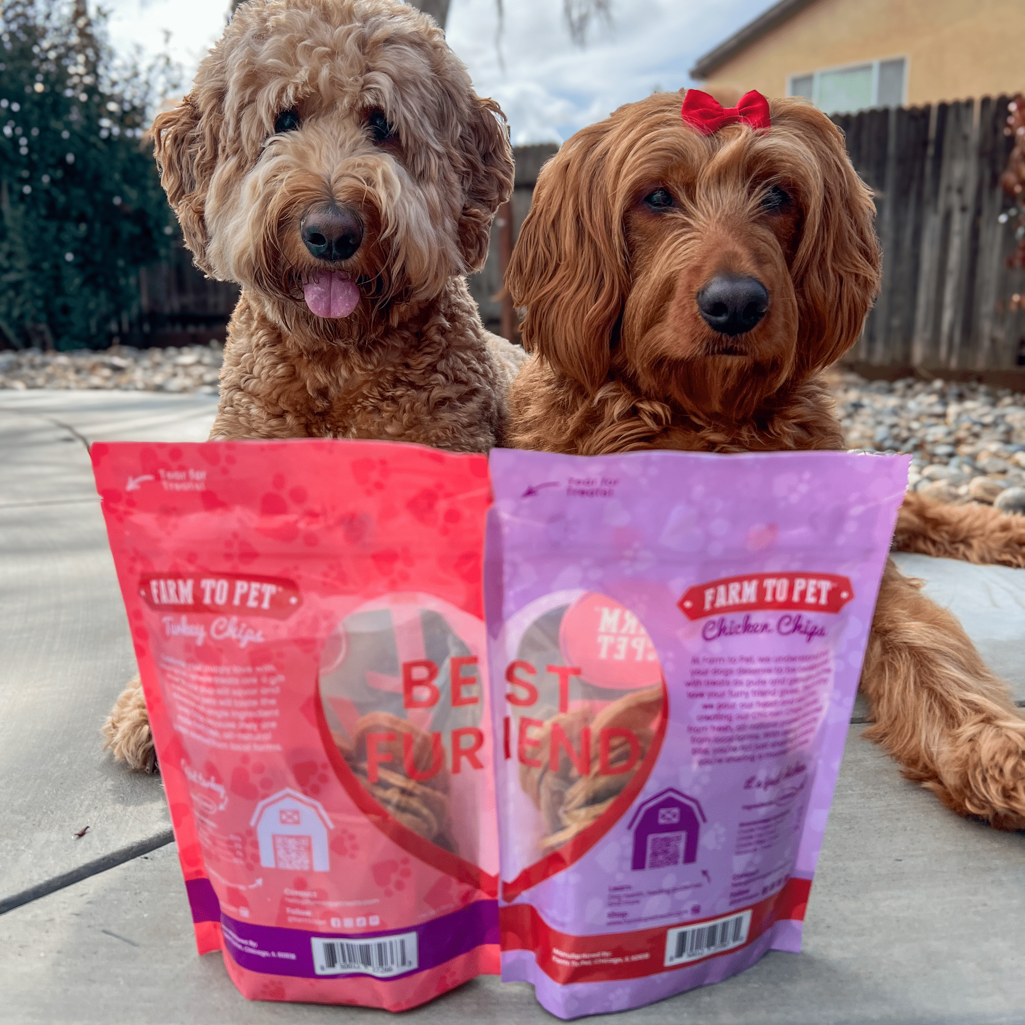 Two Brown doodles laying outside with the Farm to Pet Valentine Bundle Puppy Love Best Furiend Heart on back of bag.