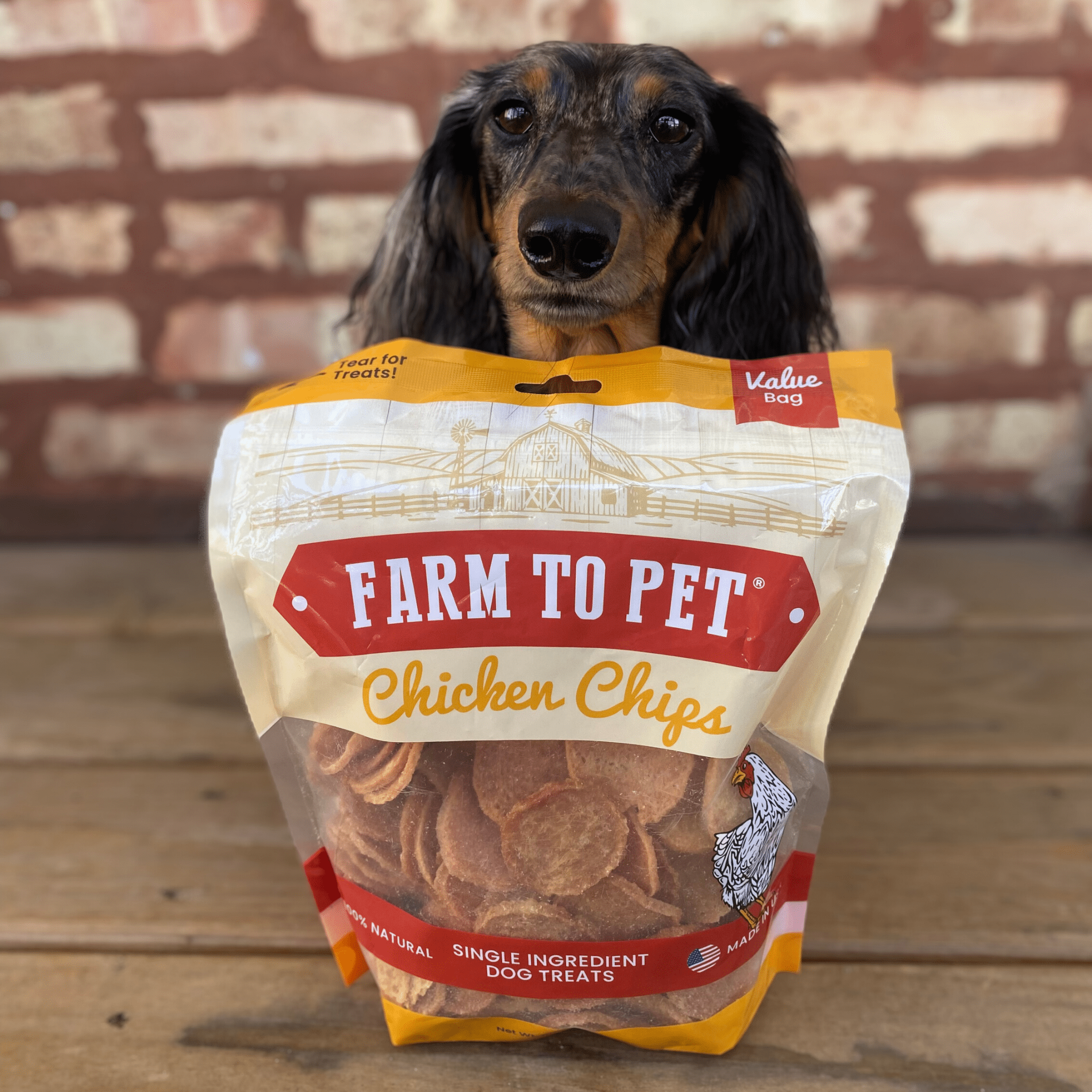 Product Picture of Farm to Pet Chicken Chips 12oz Bag and a cute brown and black dachshund pup.