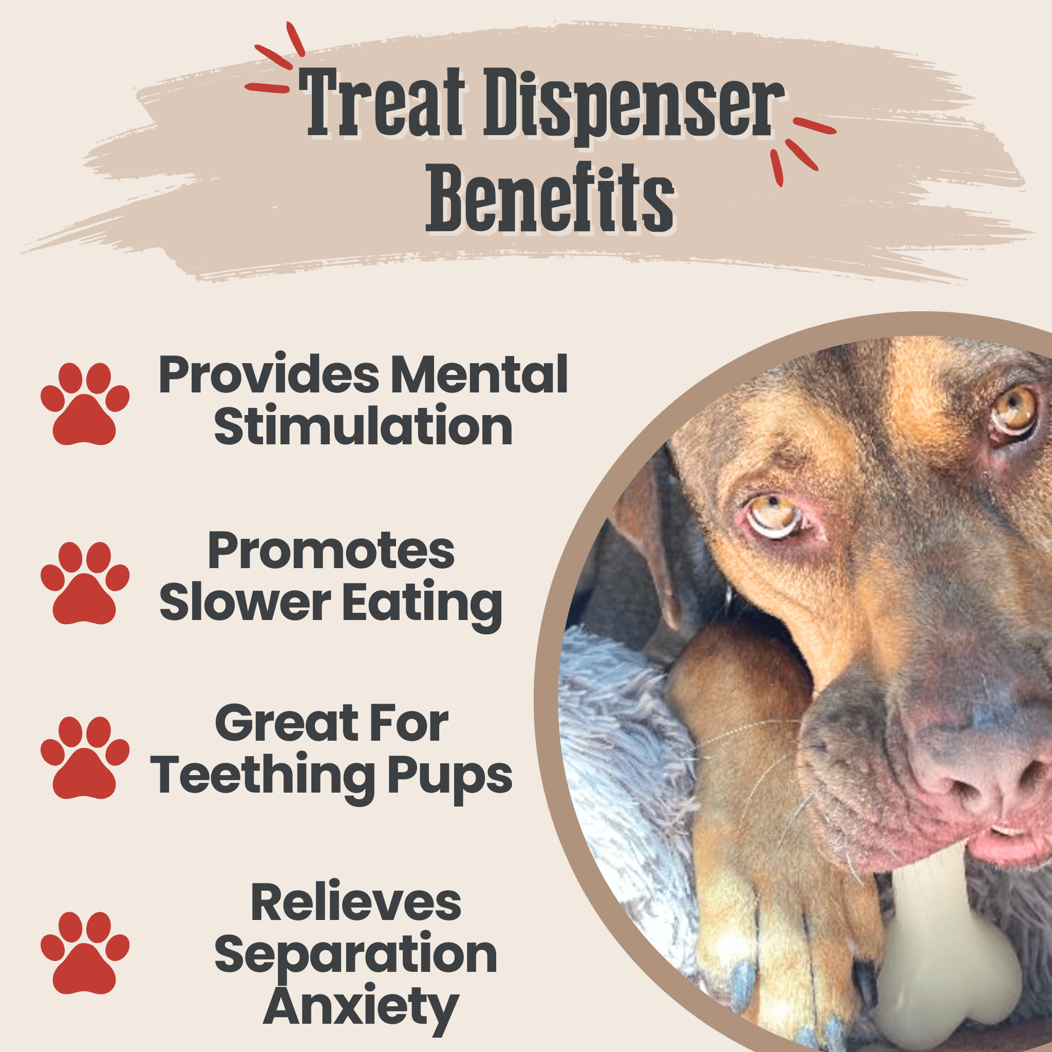 Dog treat dispenser benefits with a dog looking at the camera on a beige background