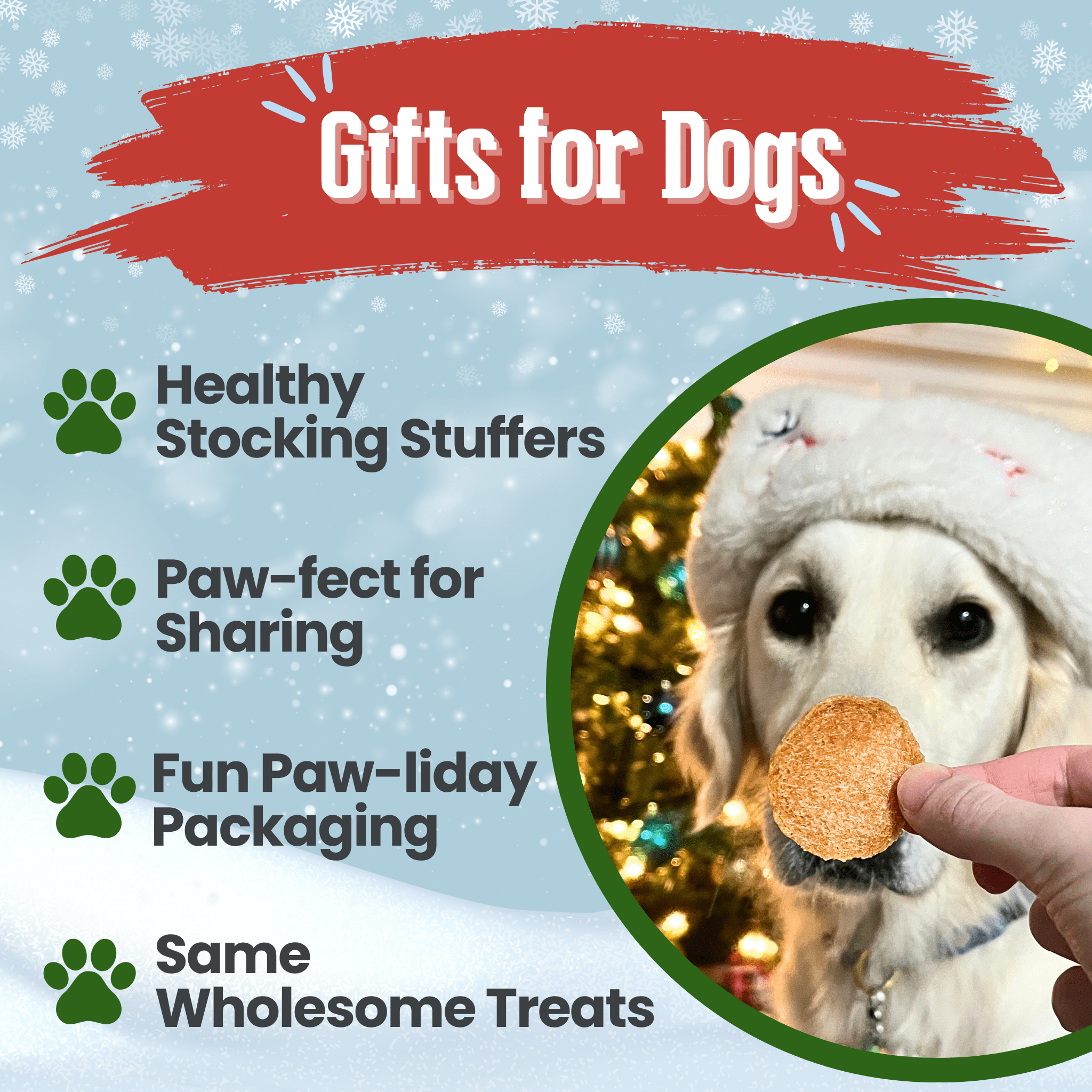 Promotional graphic for dog gifts with a dog wearing a hat and a treat, set against a festive background.