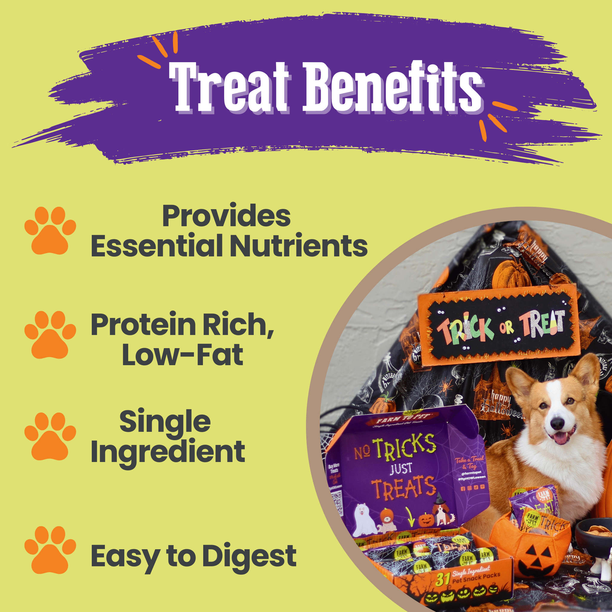 Farm to Pet Dog Treat box filled with Dog treats.  The  packaging with a dog and text highlighting benefits on a yellow background. Treat Benefits