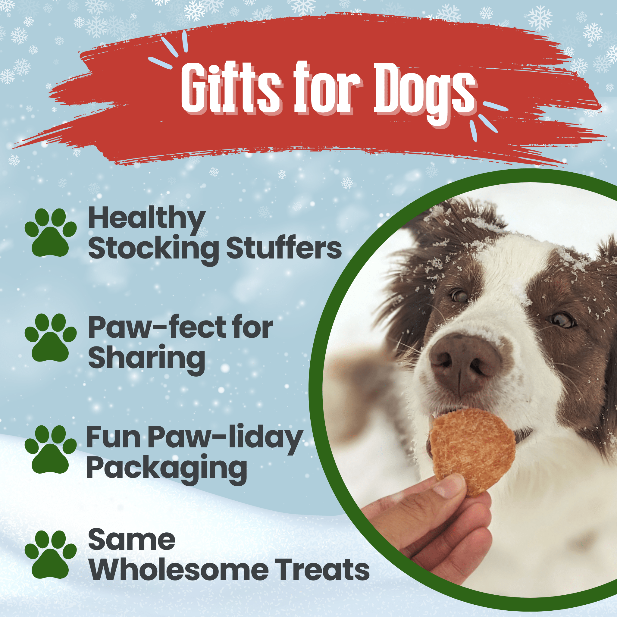 Promotional graphic for dog gifts with a dog eating a farm to pet treat and text about healthy stocking stuffers.