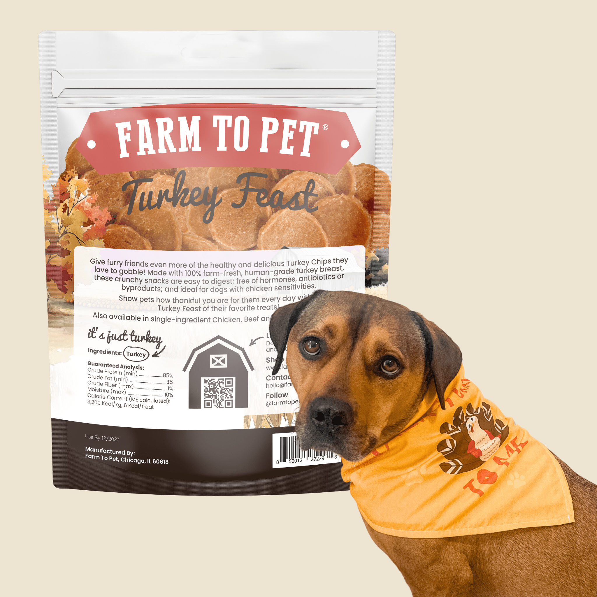 Dog wearing a bandana with a 'Farm to Pet' turkey feast package in the background