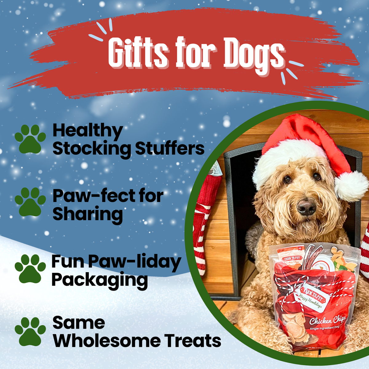 Doodle in a Santa hat with the Santa Sack: Christmas Chicken Chips as healthy gifts and stocking stuffers for dogs