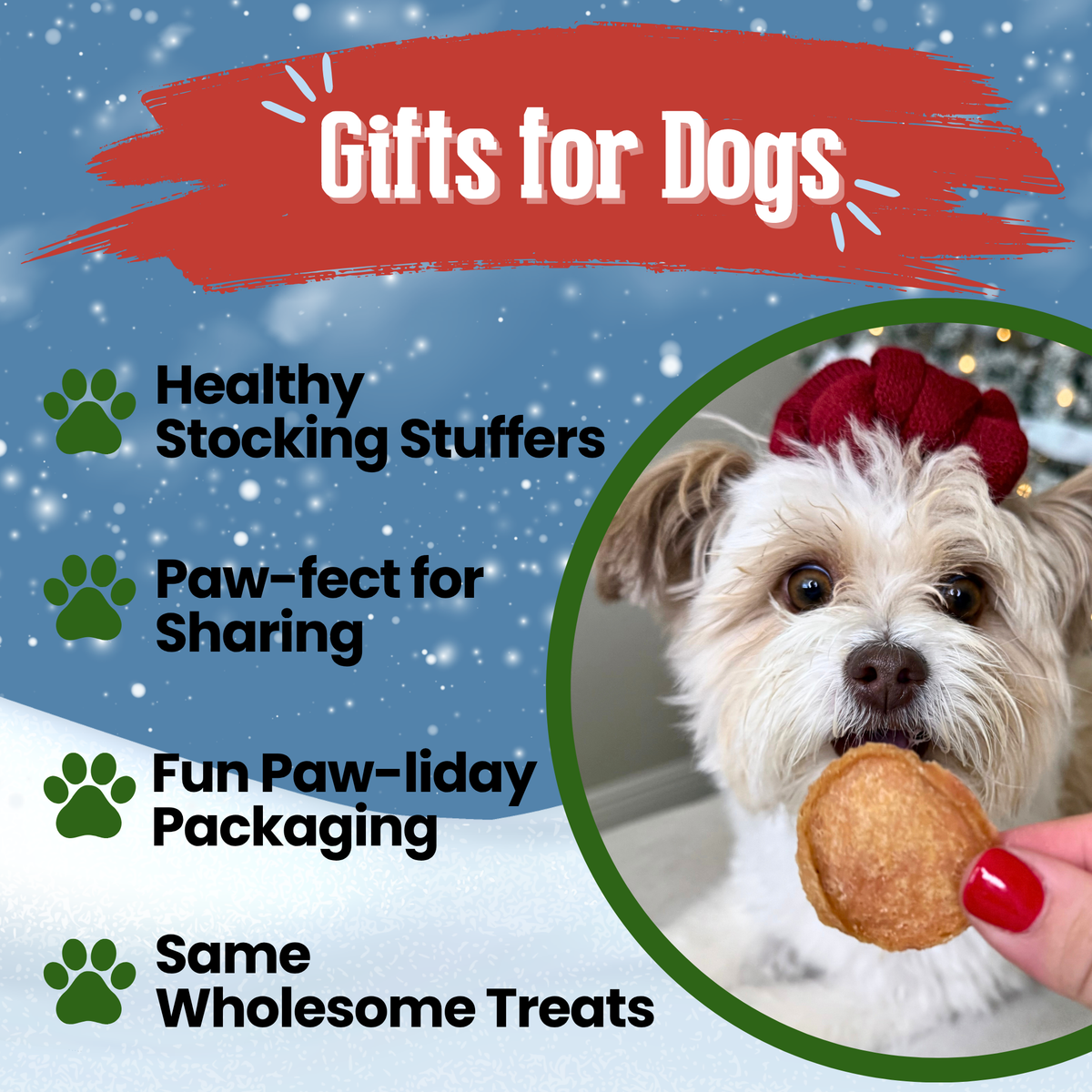 Small dog with a red bow eating a Holiday Turkey Chip: healthy Christmas gifts for dogs