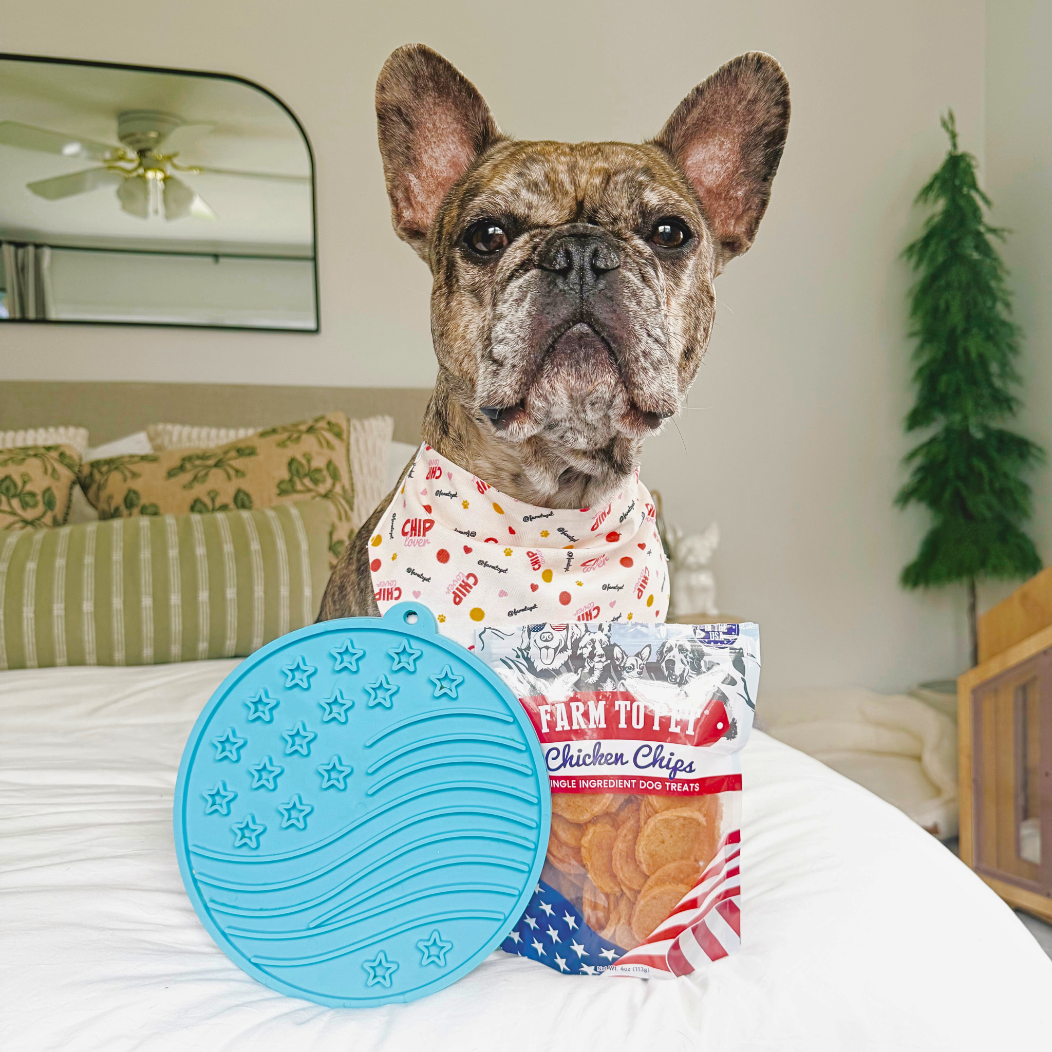 Dog wearing a bandana with a package of Farm to Pet Chicken Chips and a blue silicone mat on a bed. | media-group:standard-4oz-blue-stars-stripes