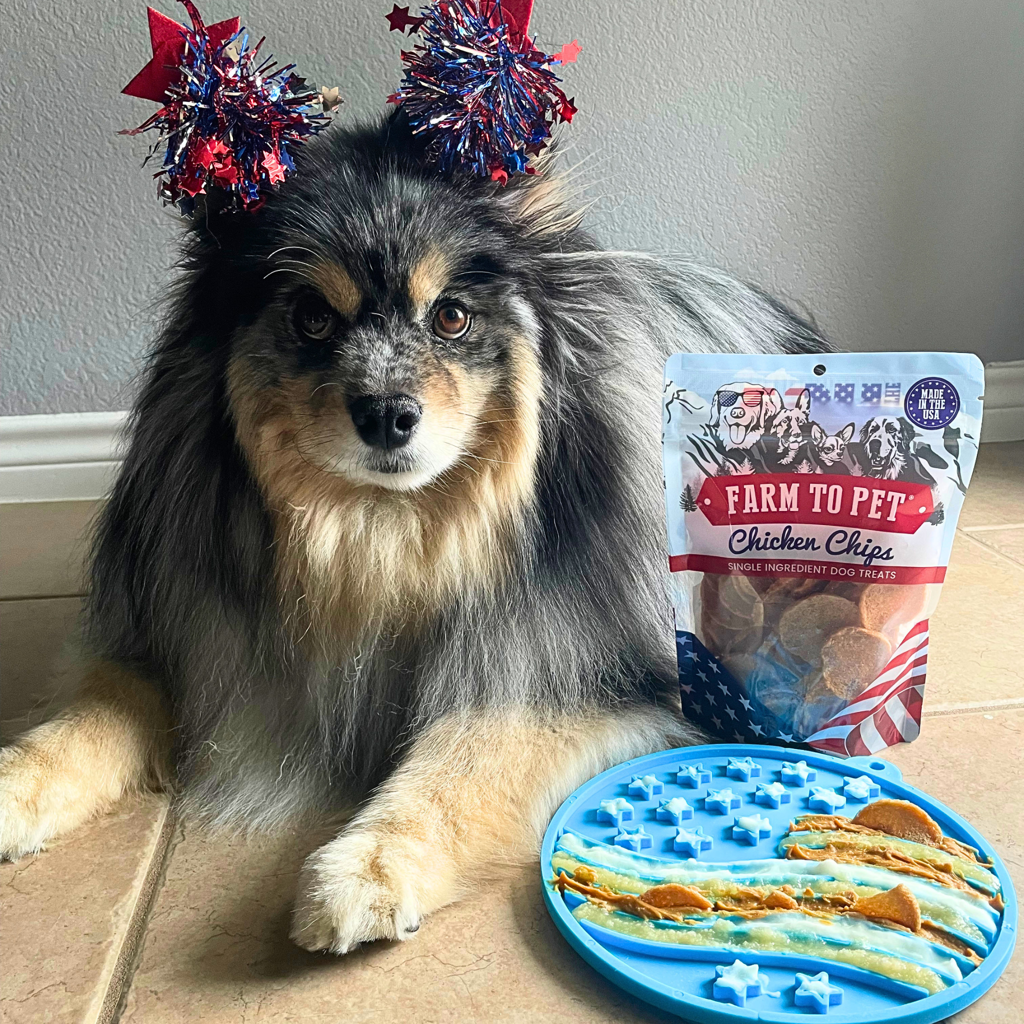 Dog with festive headband next to a bag of 'Farm to Pet' chicken chips and a blue mat with treats. | media-group:standard-4oz-blue-stars-stripes