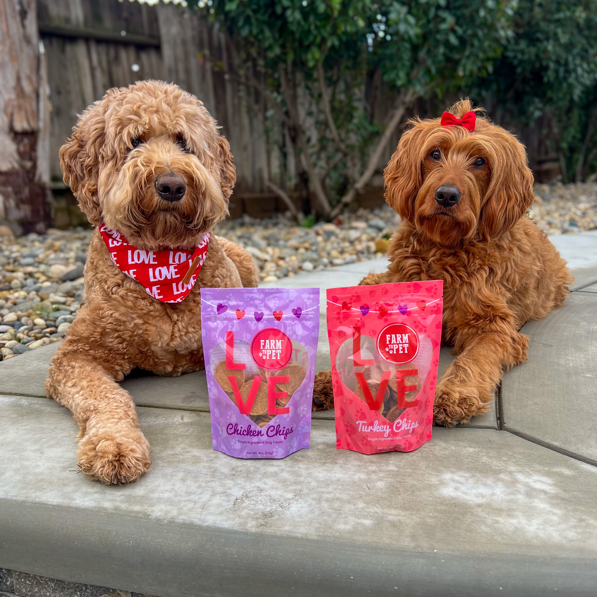Two dogs sitting on a stone surface with two bags of Farm Pet 'LOVE' treats in front of them.