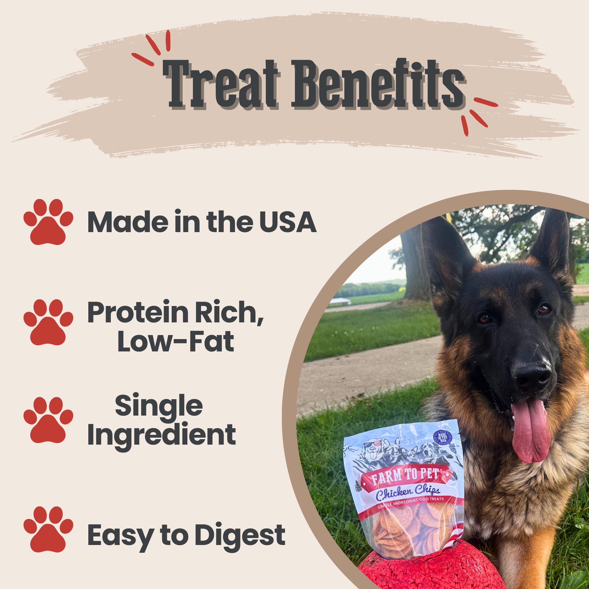 Dog holding a bag of dog treats with text about benefits on a beige background | media-group:standard-4oz-blue-stars-stripes