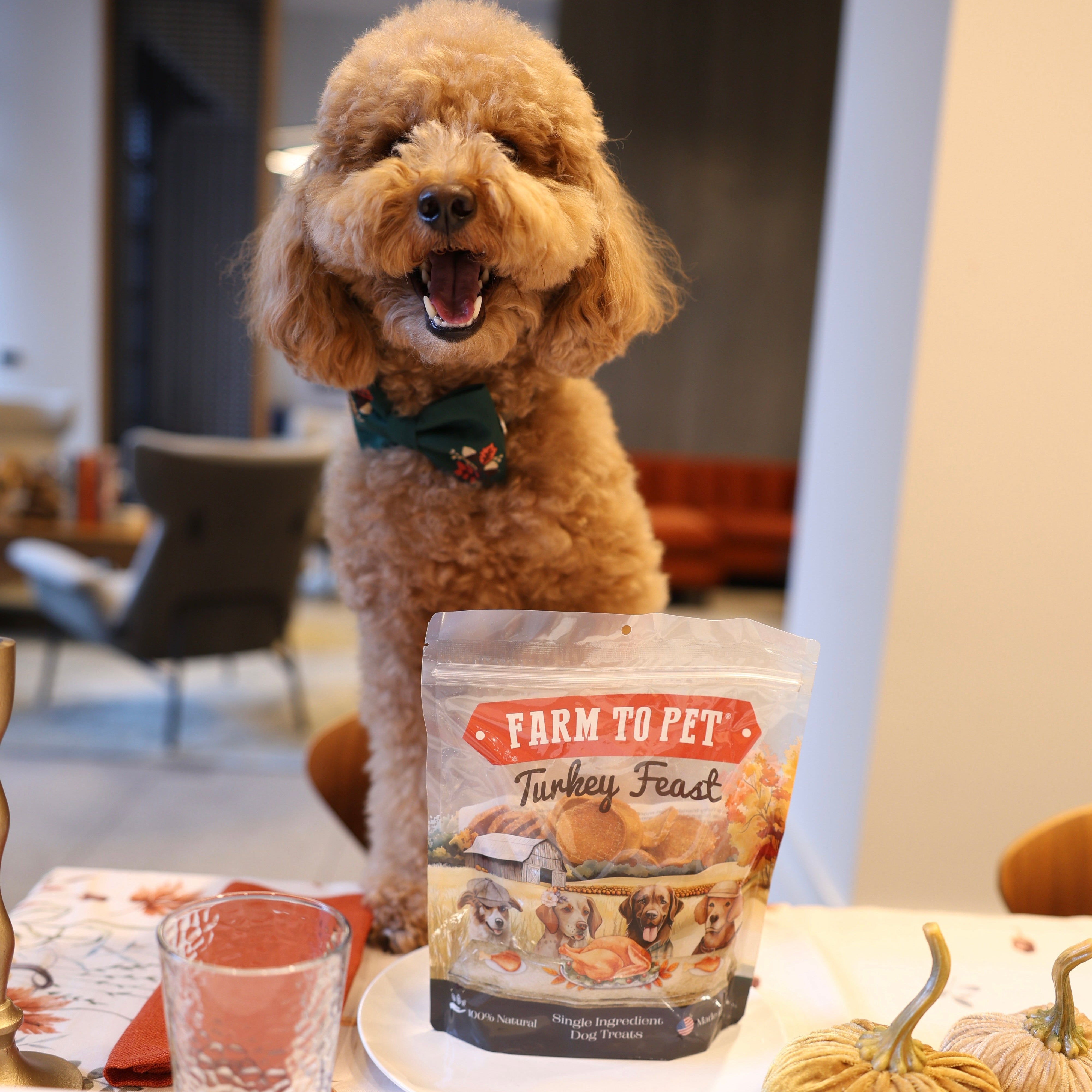 Dog sitting next to a bag of Farm to Pet Turkey Feast dog food on a table.