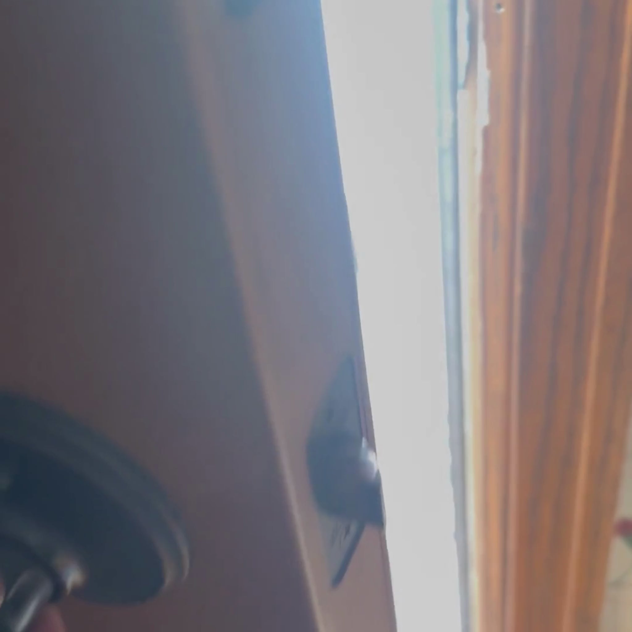 A Video of Two German Shepherds one wearing a Farm to Pet Bandana at the front door opening a Farm to Pet Halloween 31 Snack Pack Dog Treat Box