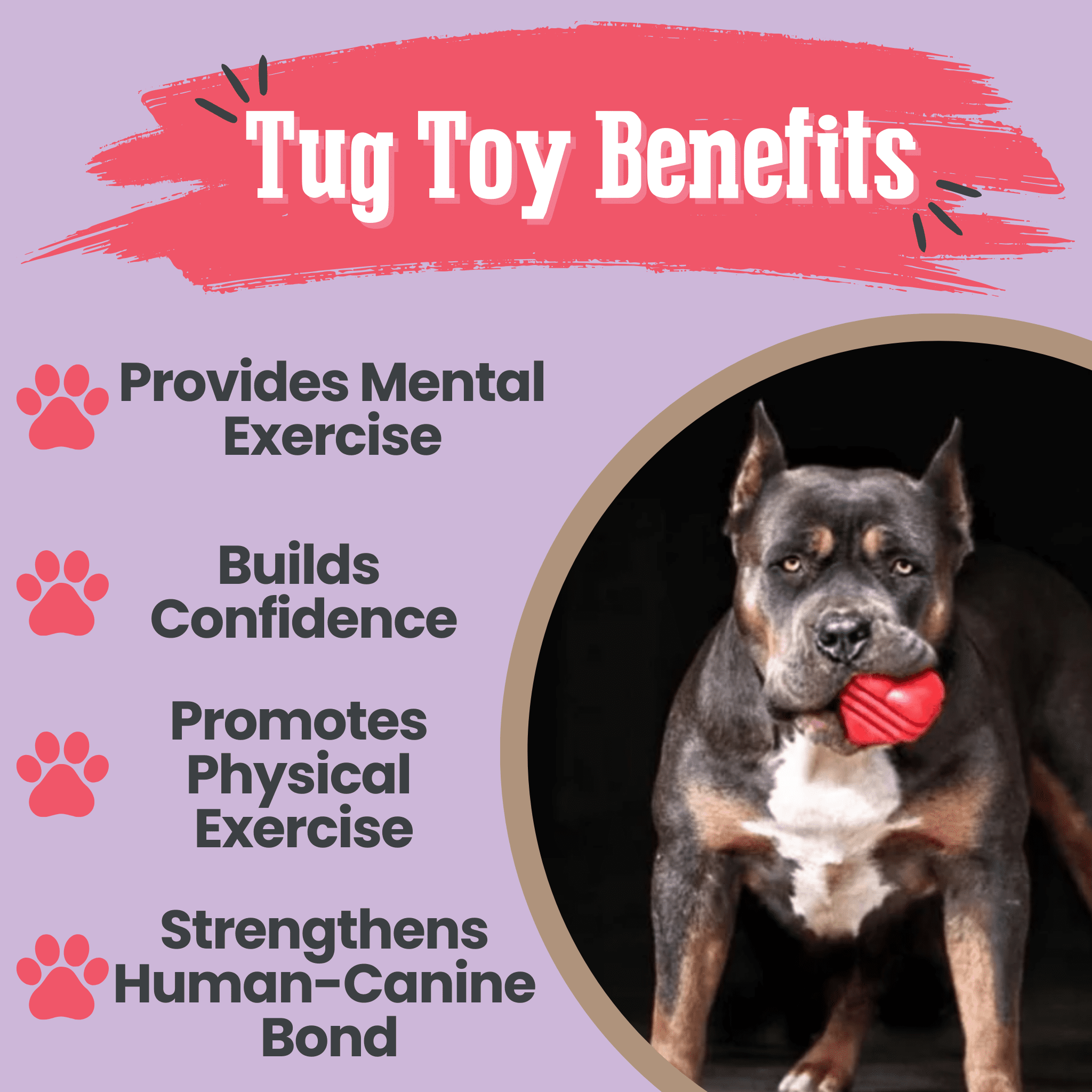 Valentine Dog Treats + Heart Tug Toy Bundle - Farm To Pet