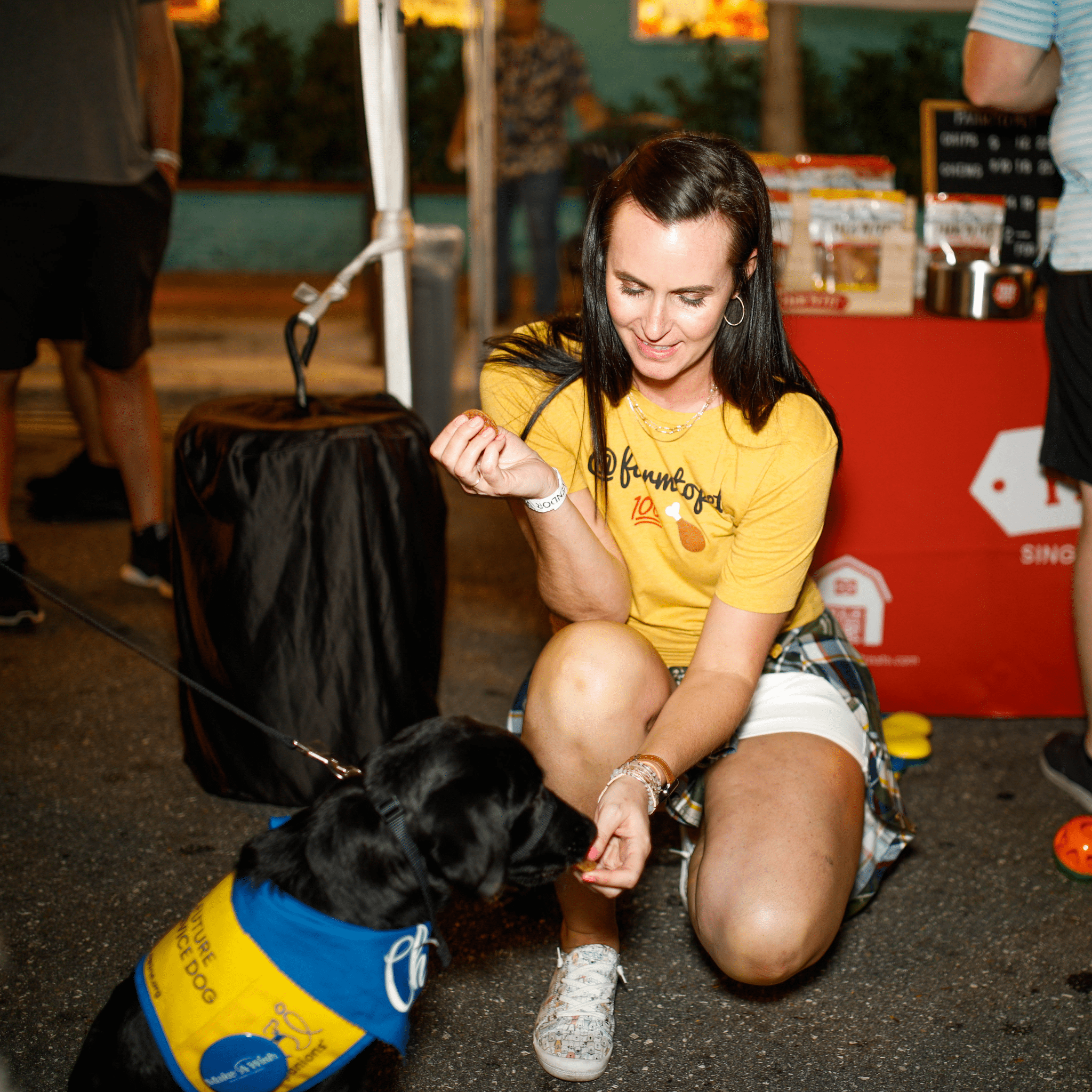 Farm to Pet 100% Chicken Adult T-Shirt