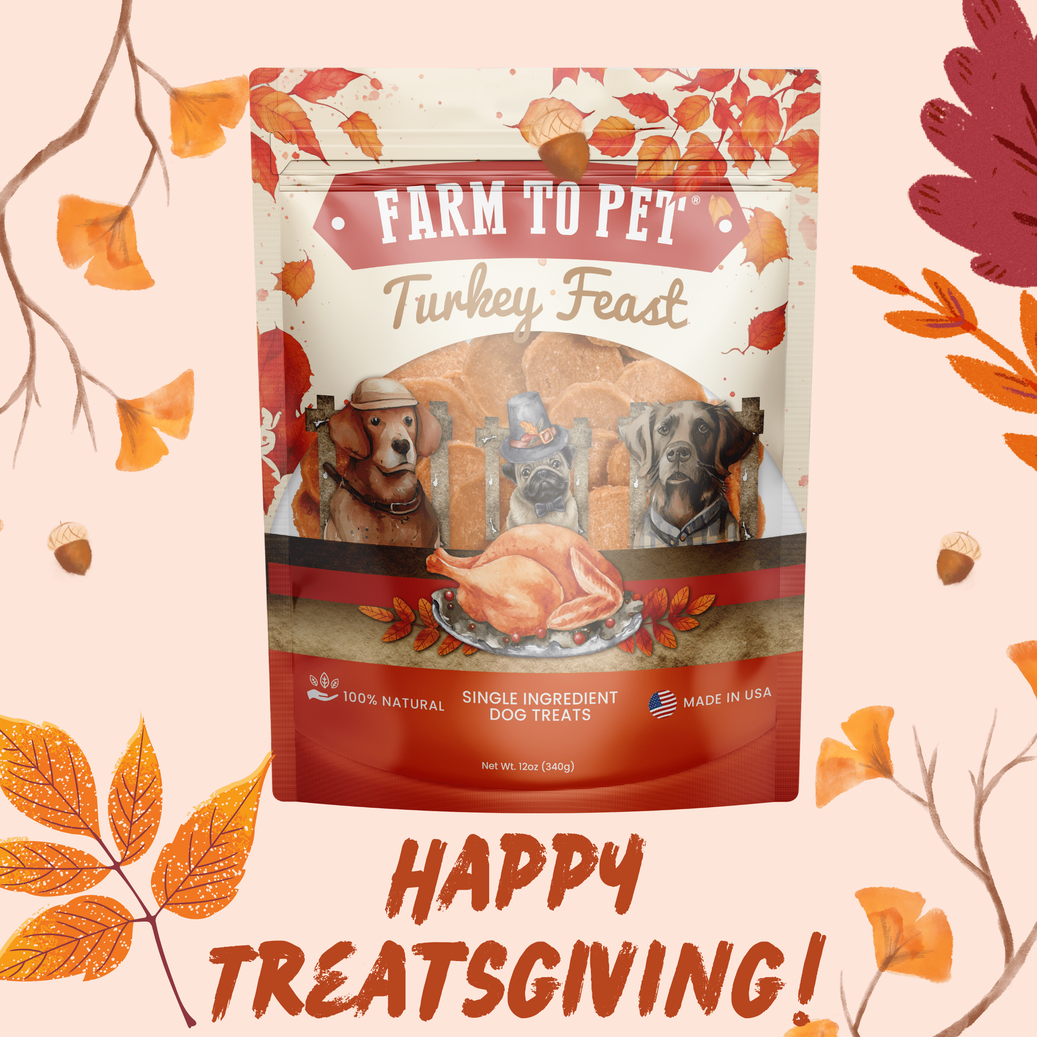 Holiday Special Dog Treats