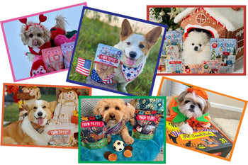A collage of photos of dogs with holiday treats from Farm to Pet