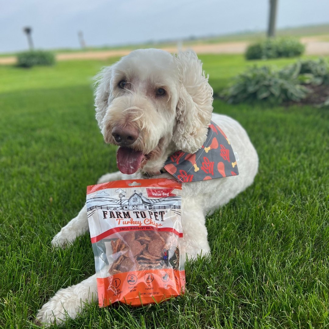 A Day in the Life of a Farm Dog Farm To Pet