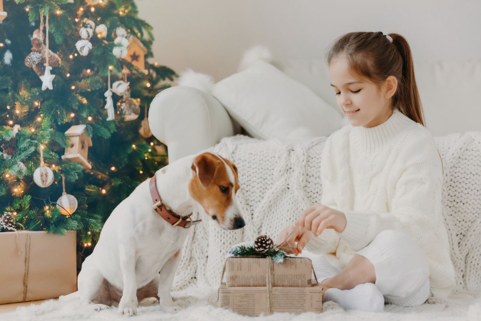 The Best Holiday Dog Gifts for 2023 - Farm To Pet