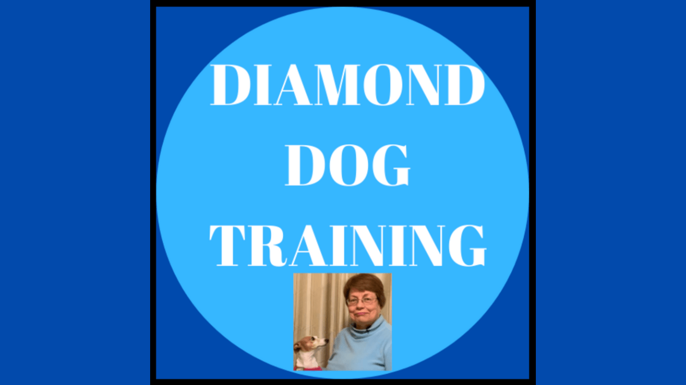 BTS with Diamond Dog Training - Farm To Pet