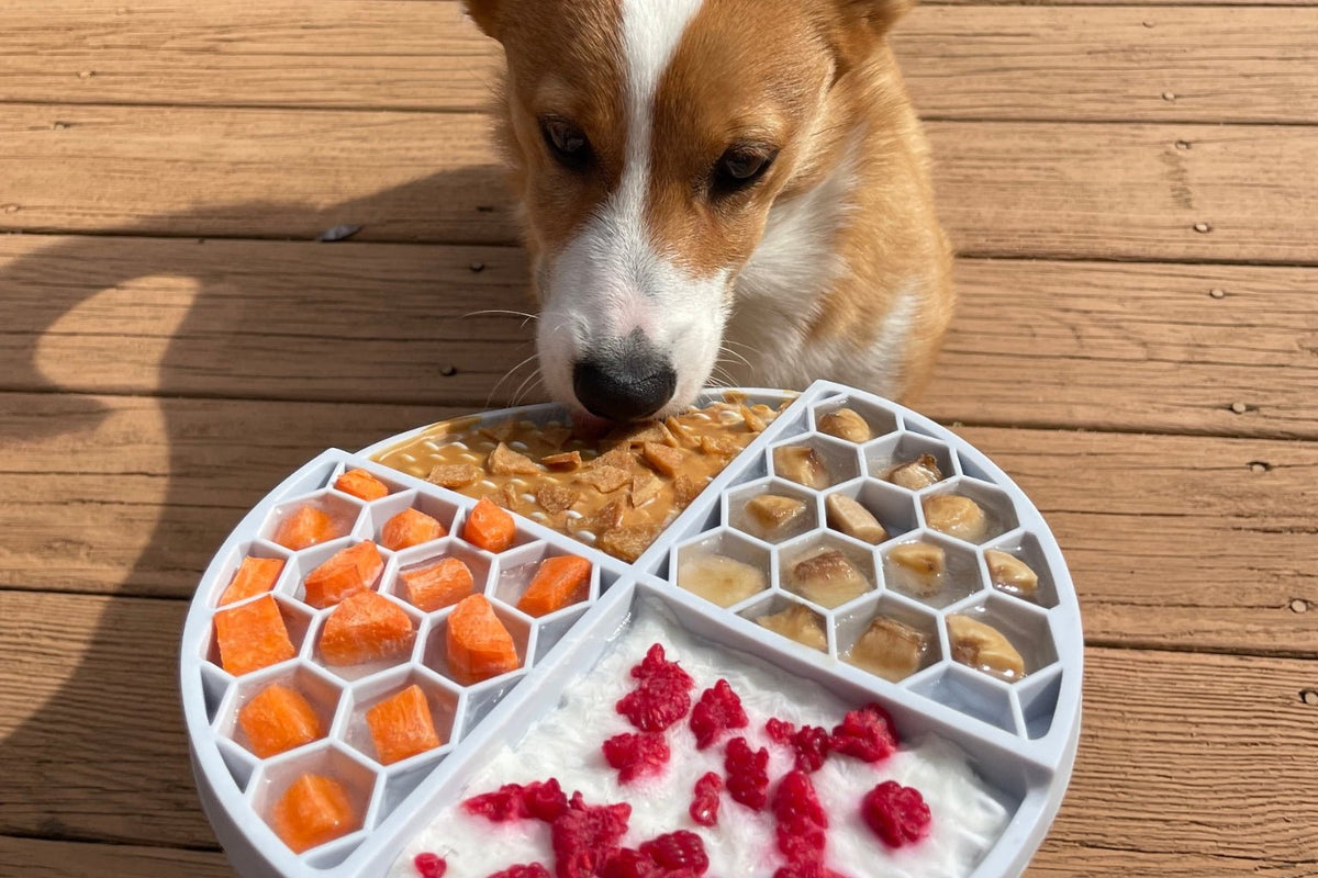 Can Dogs Eat Fruit Which fruits are safe for your dog to eat