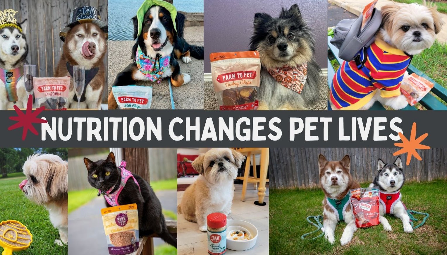 collage of rescue pets with text saying "nutrition changes pet lives"