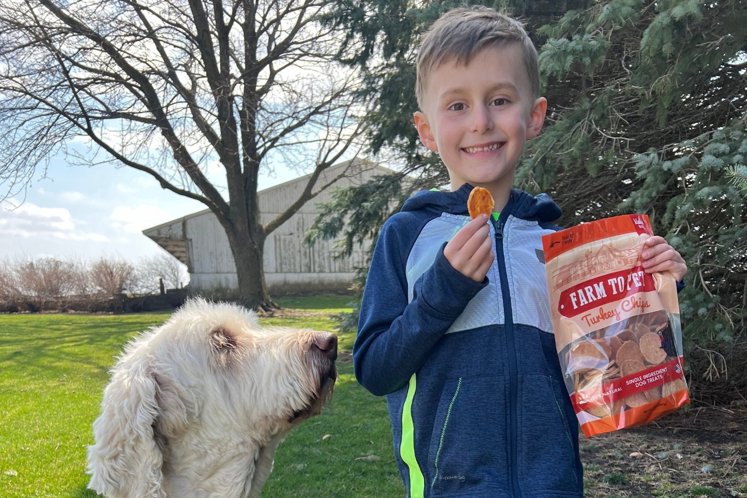 Dog Training 101: How Healthy Pet Treats Make Training Easier - Farm To Pet