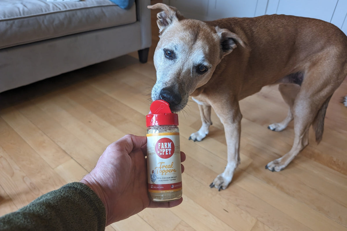 Rooney, the rescue dog, eating Farm to Pet Treat Toppers out of the jar. 