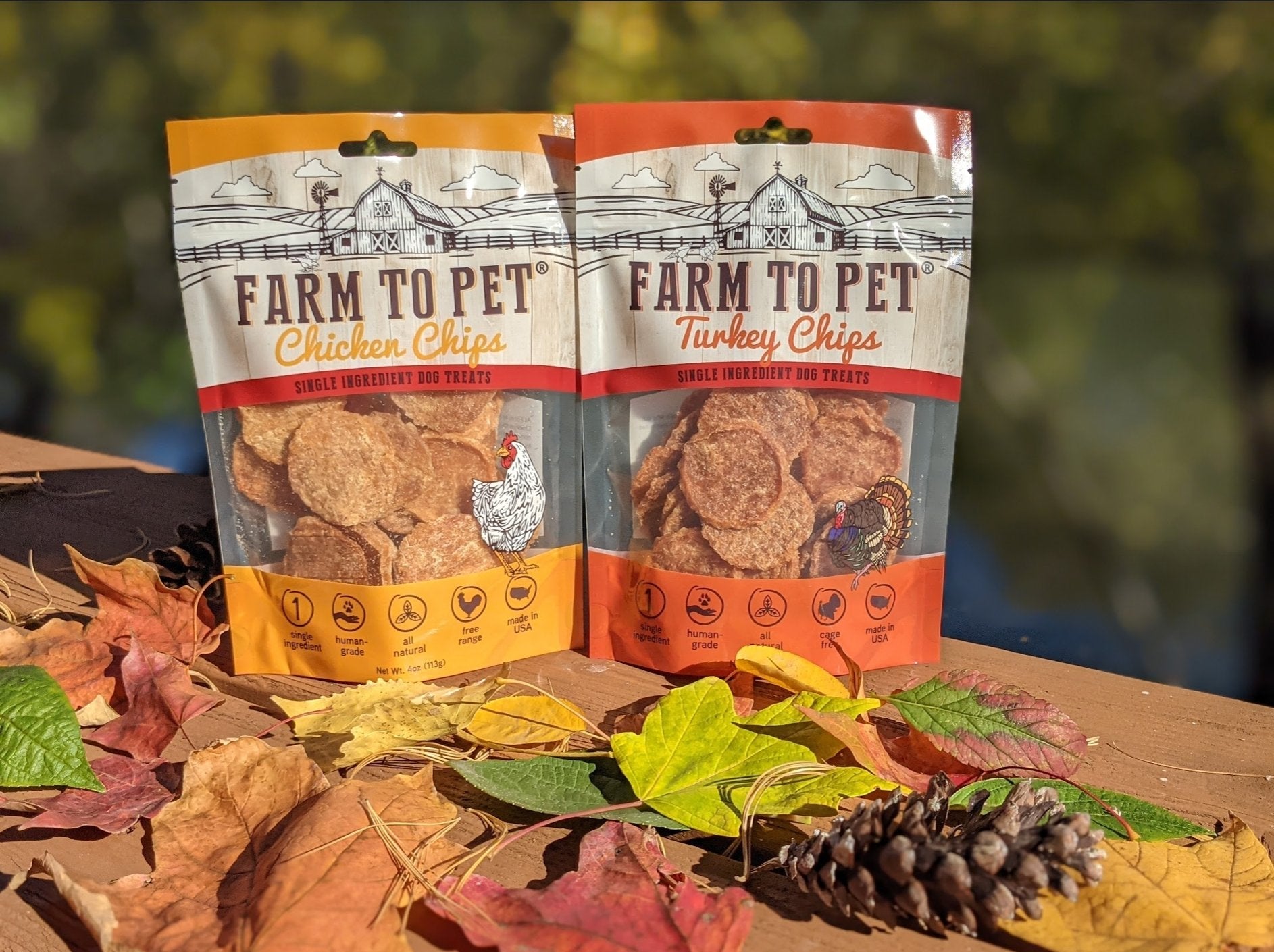 Fall Activities for You and Your Dog - Farm To Pet