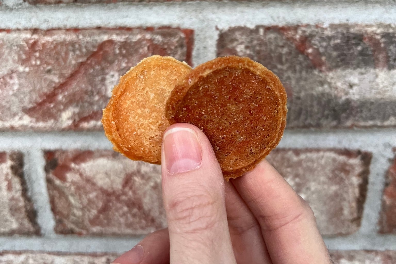 Is Protein Rotation Beneficial for Dogs? How Healthy Dog Treats Fit In - Farm To Pet