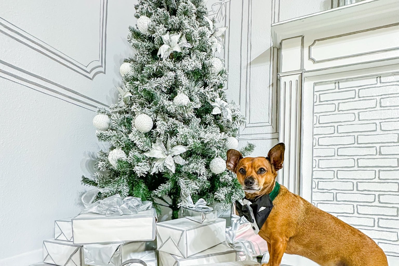 Small Business Saturday Dog Gift Ideas - Farm To Pet