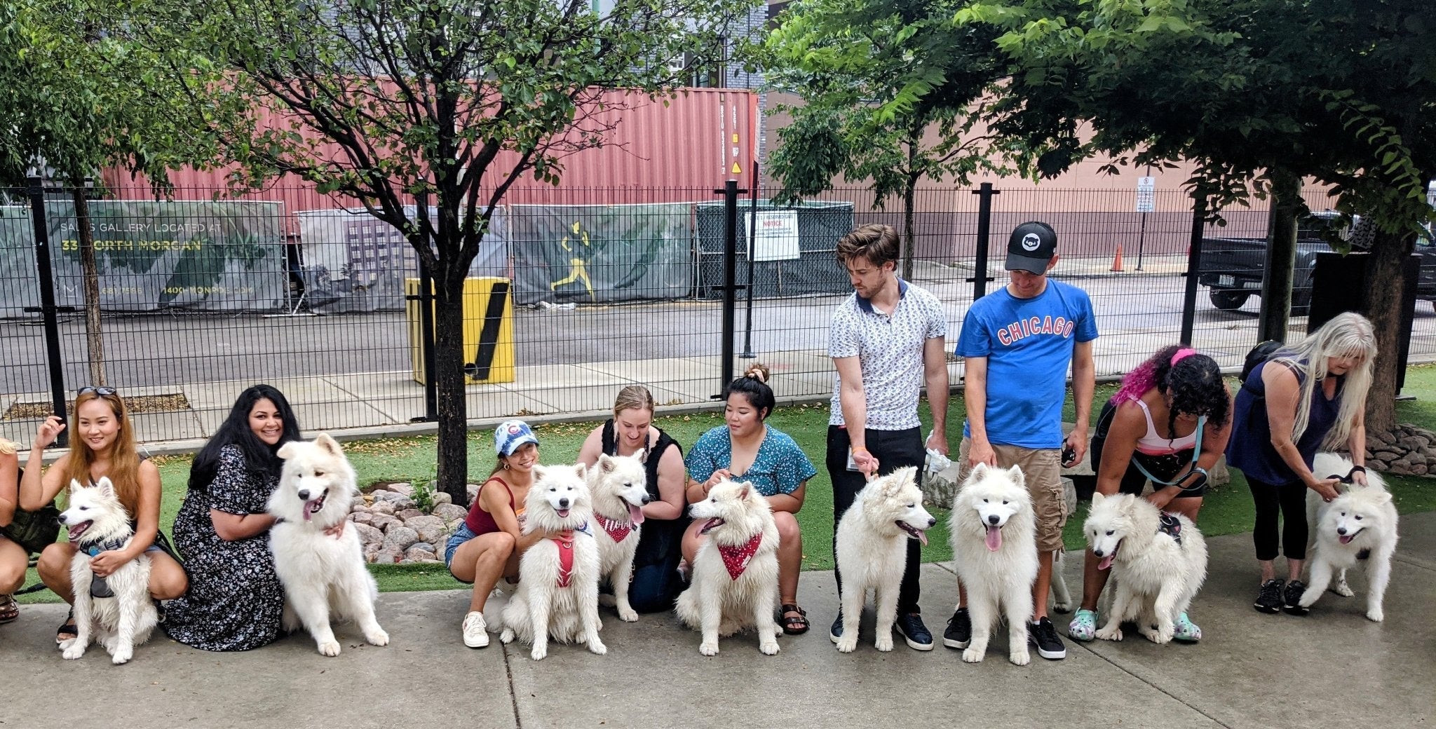 Sweet Home Chicago - Farm To Pet