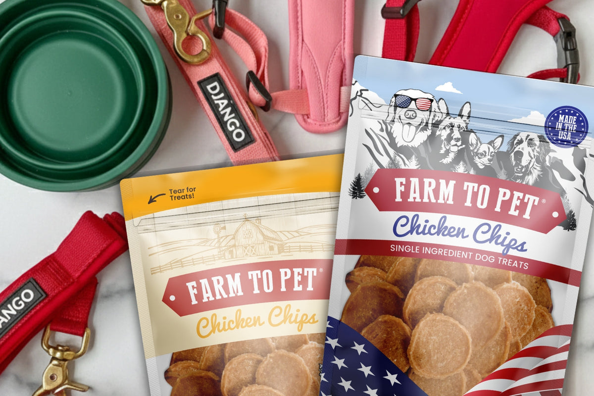 collection of dog travel essentials including farm to pet treats and Django leashes and harnesses