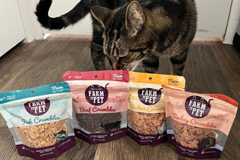 Tabby cat sniffing bags of Farm to Pet Crumbles cat treats.