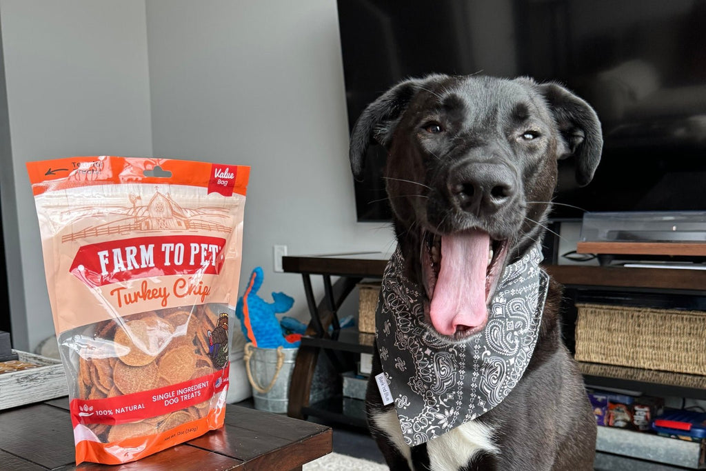 healthy dog treats for small dogs