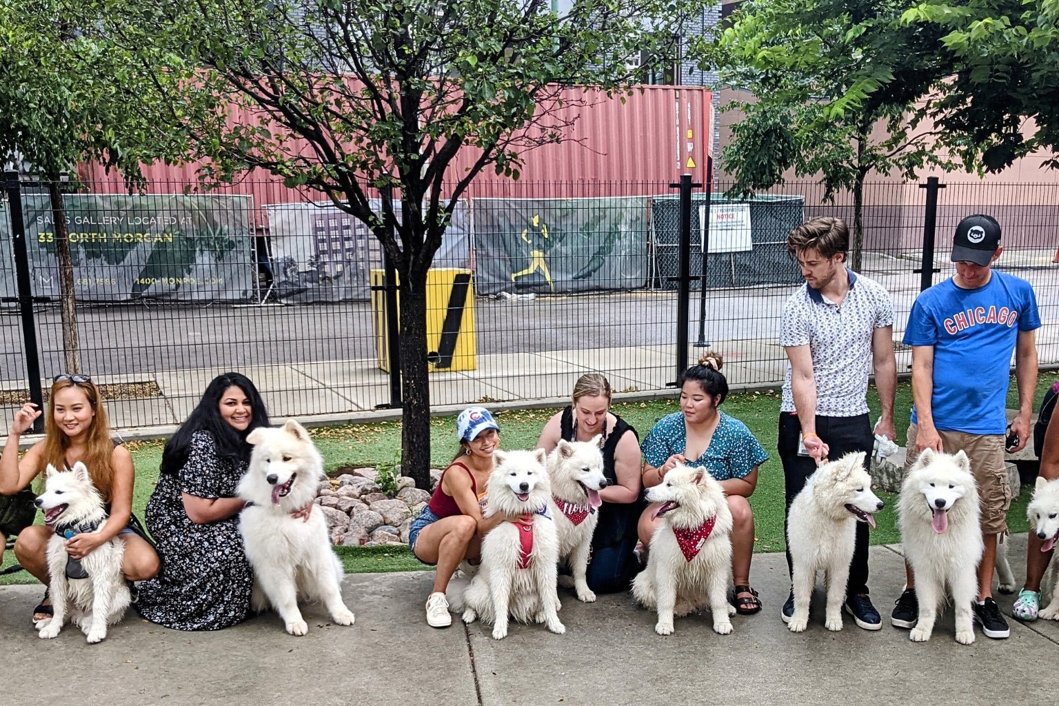 Why Dogs are the Most Popular Pet - Farm To Pet