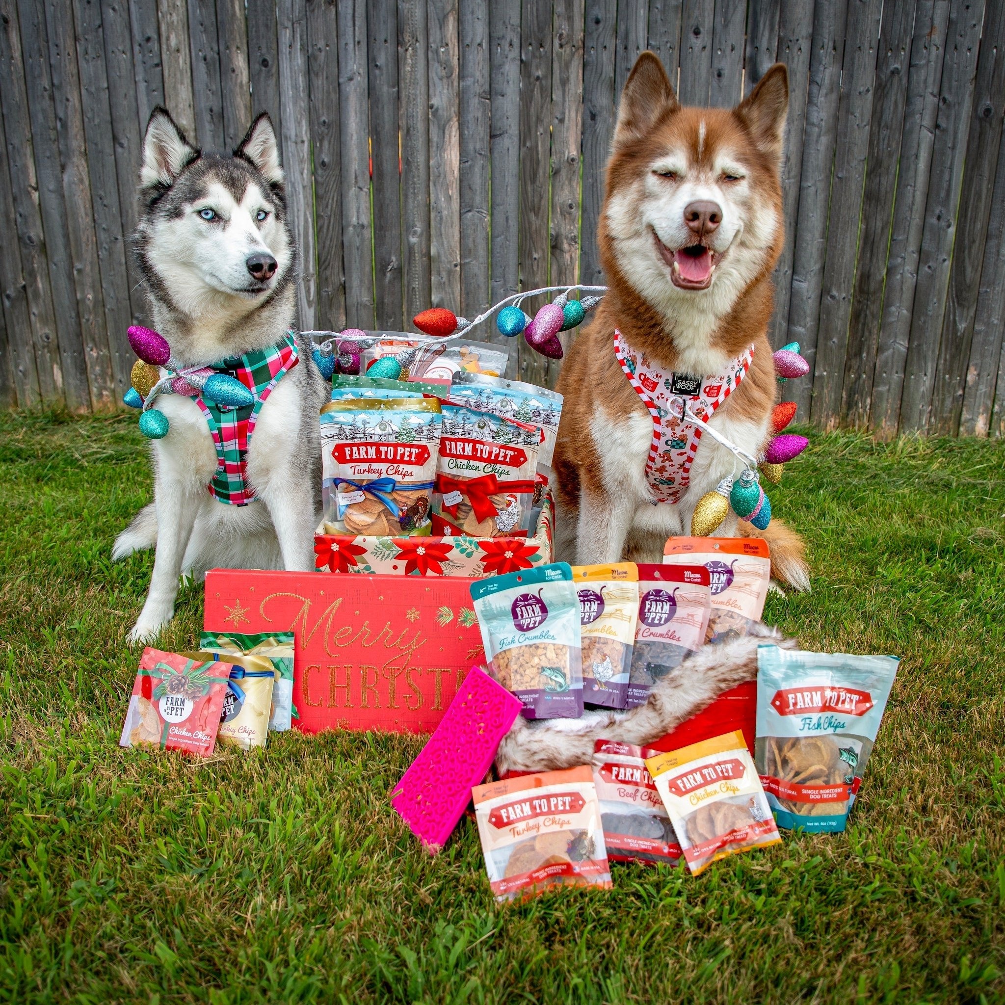 Two husky's sitting outside with all the Farm to Pet gift ideas for dogs, cats and pet lovers. Your one stop shop!