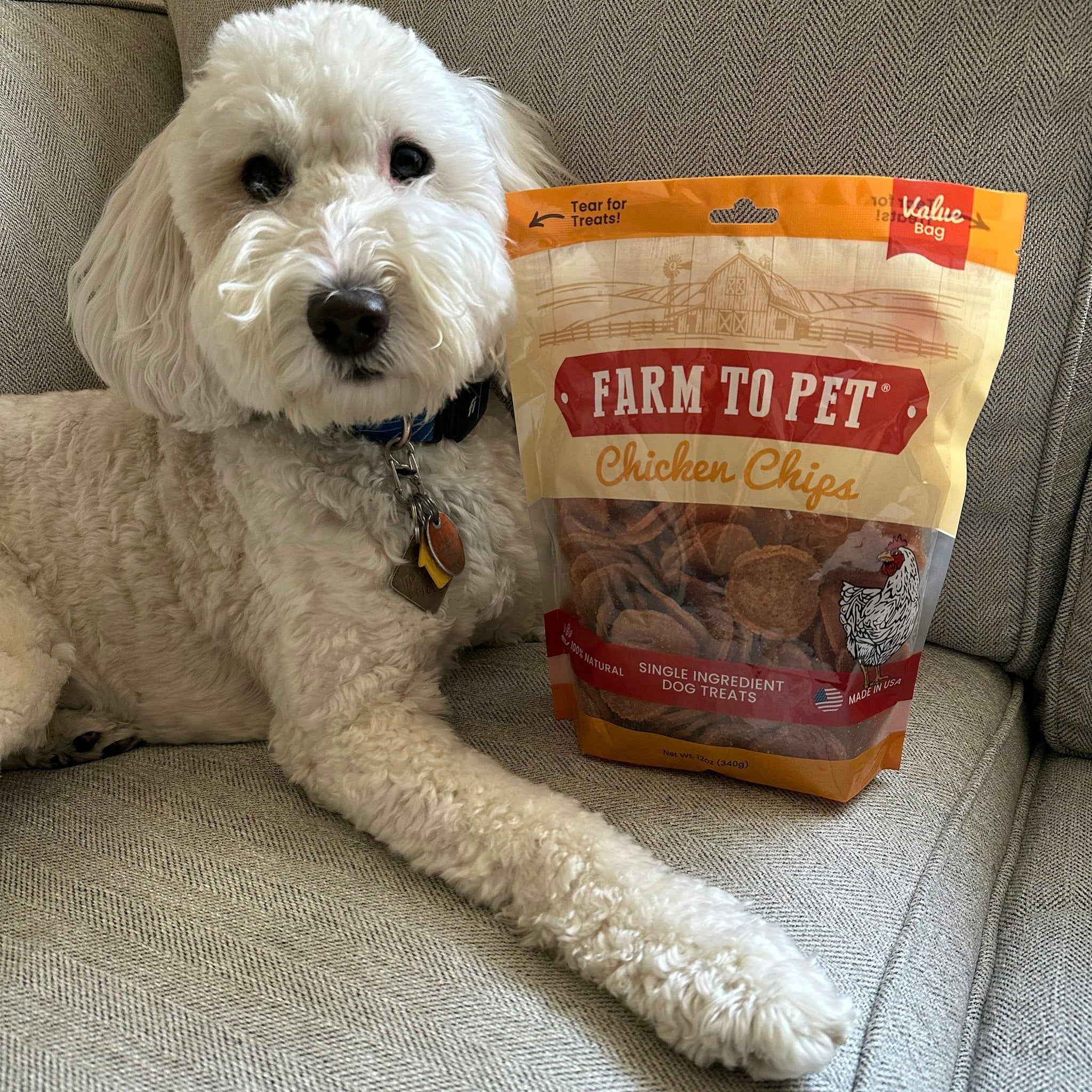 Farm To Pet Chicken Chips is our original one ingredient dog treat with simple crunchy goodness. A white dog hugging a bag.