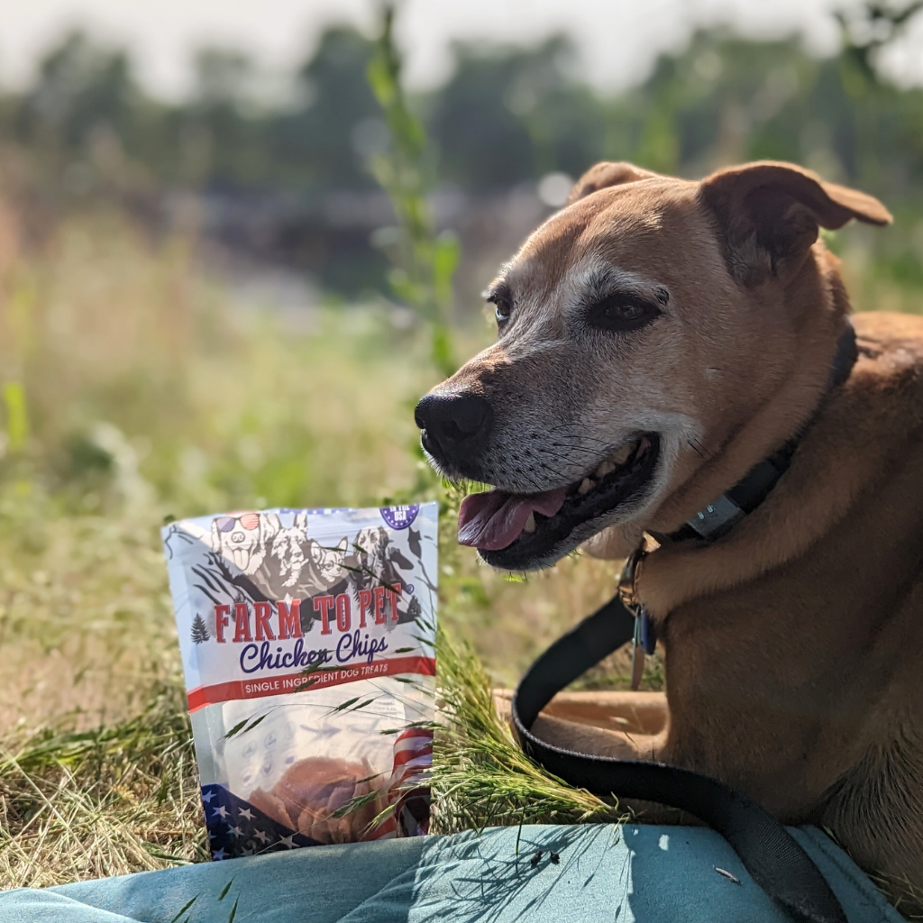 Pet health sales store near me